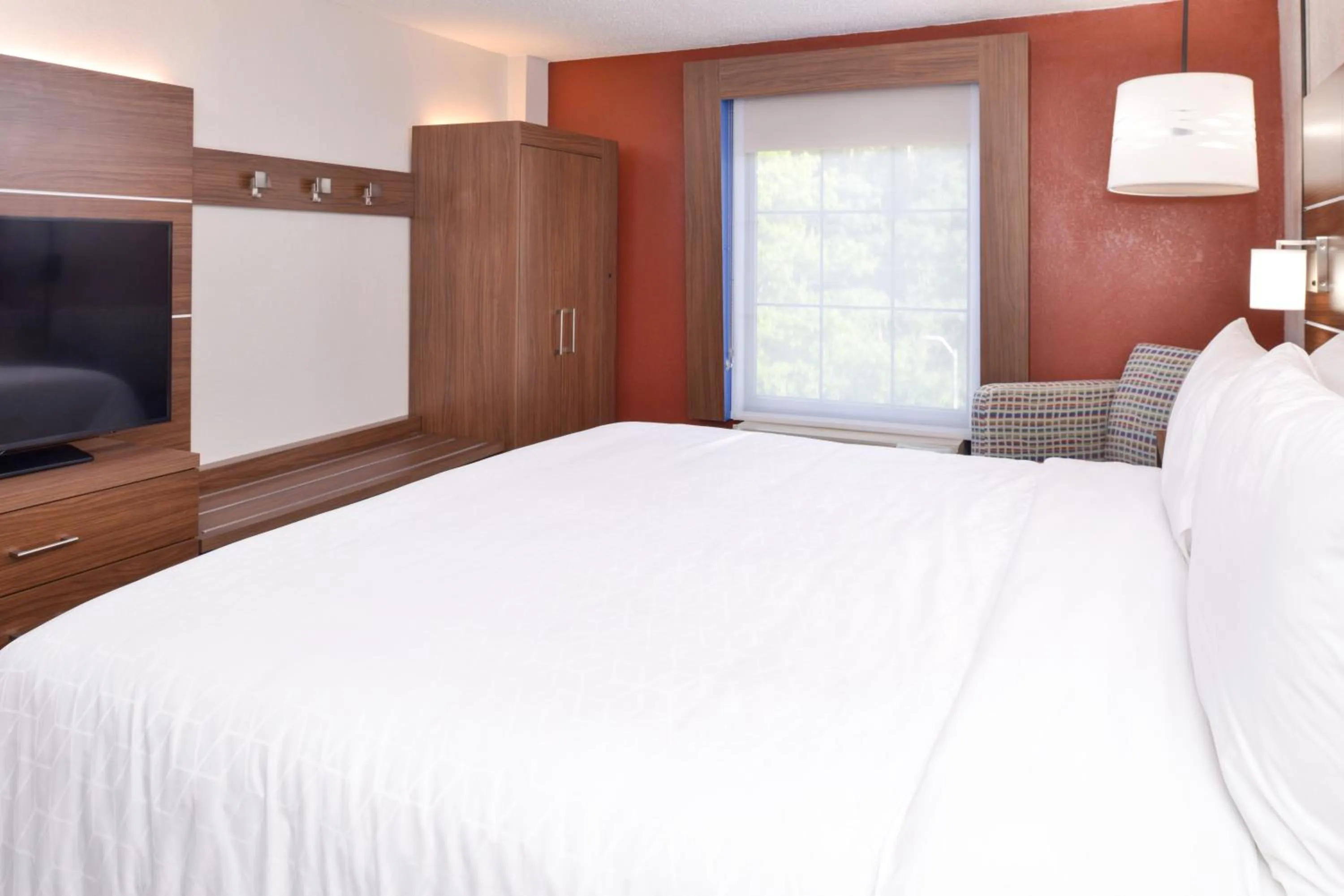 One-Bedroom King Suite with Sofa Bed in Holiday Inn Express Towson- Baltimore North by IHG