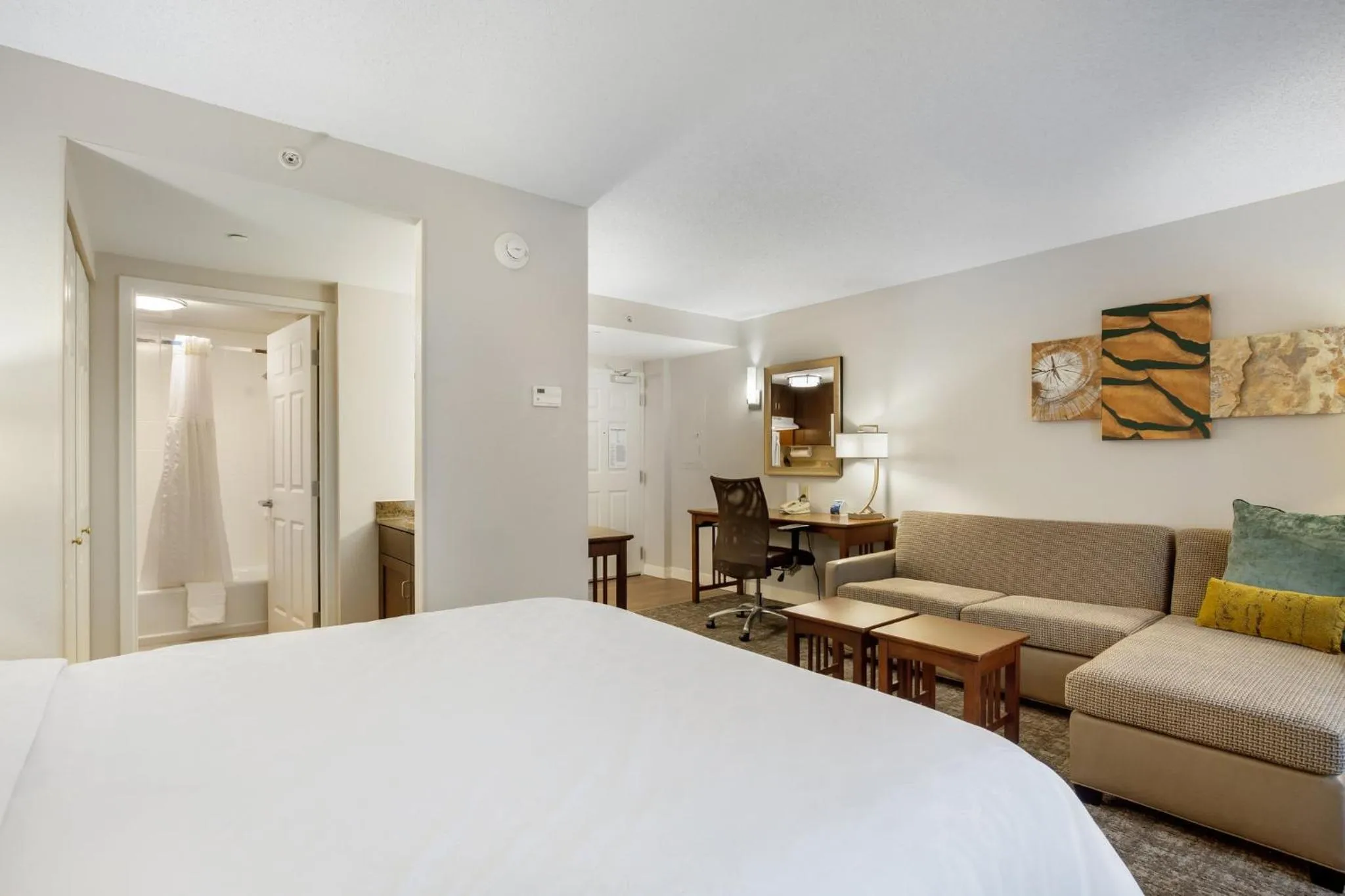 Studio Suite in Staybridge Suites Chesapeake-Virginia Beach by IHG