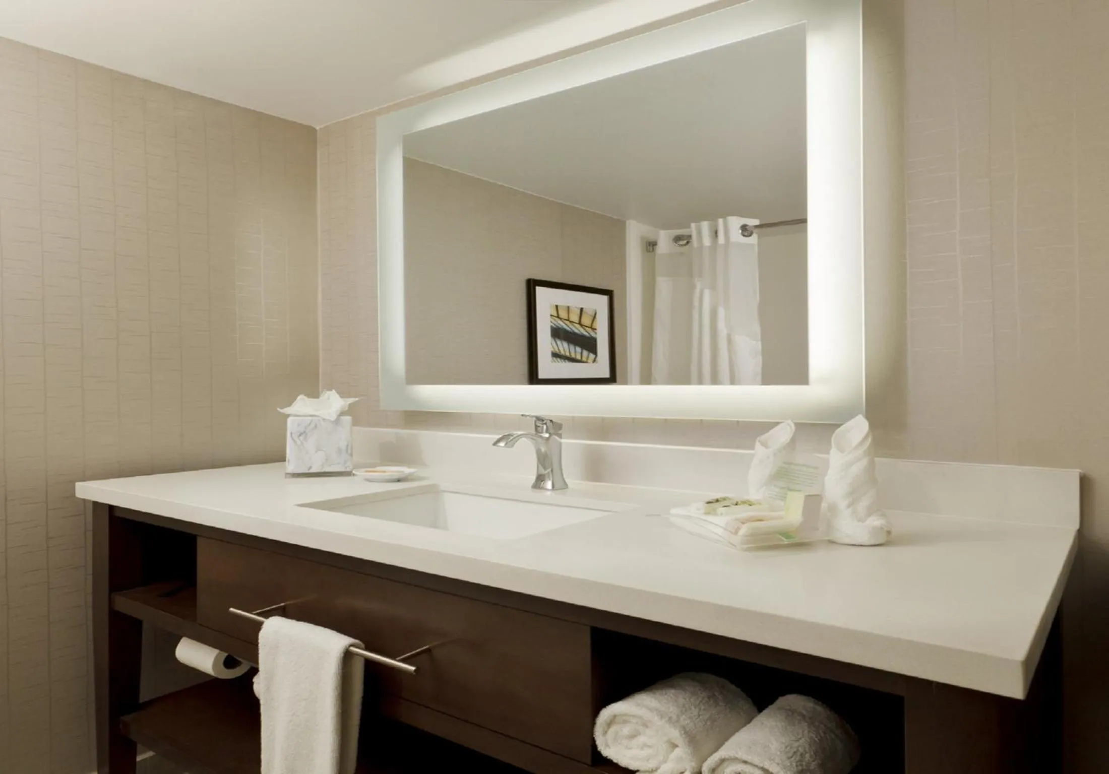 One-Bedroom Suite in Holiday Inn San Antonio-Riverwalk by IHG