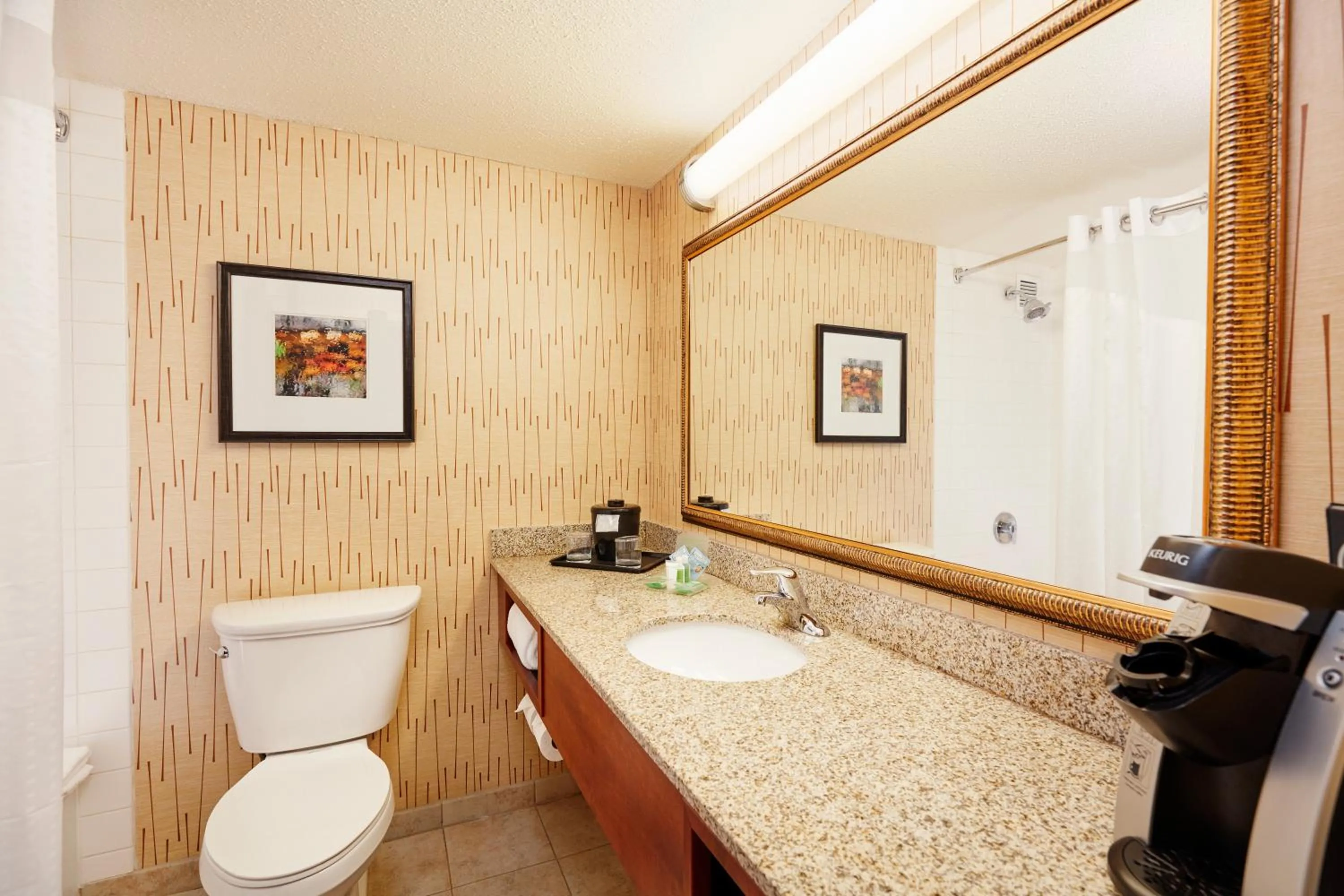 King Room with Tub - Communication Mobility Accessible in Holiday Inn Cincinnati Airport by IHG