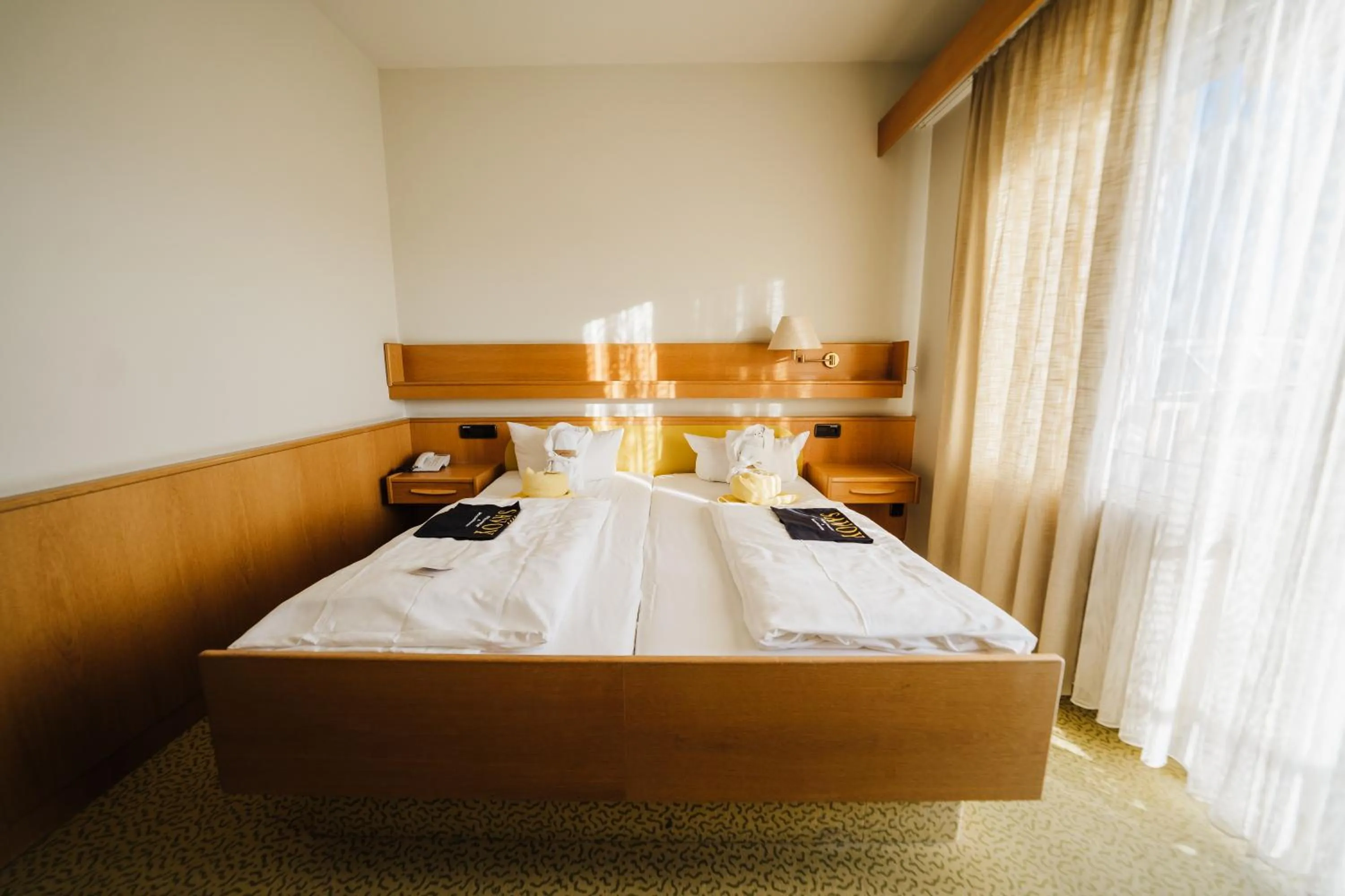 Double Room in Savoy Hotel Bad Mergentheim