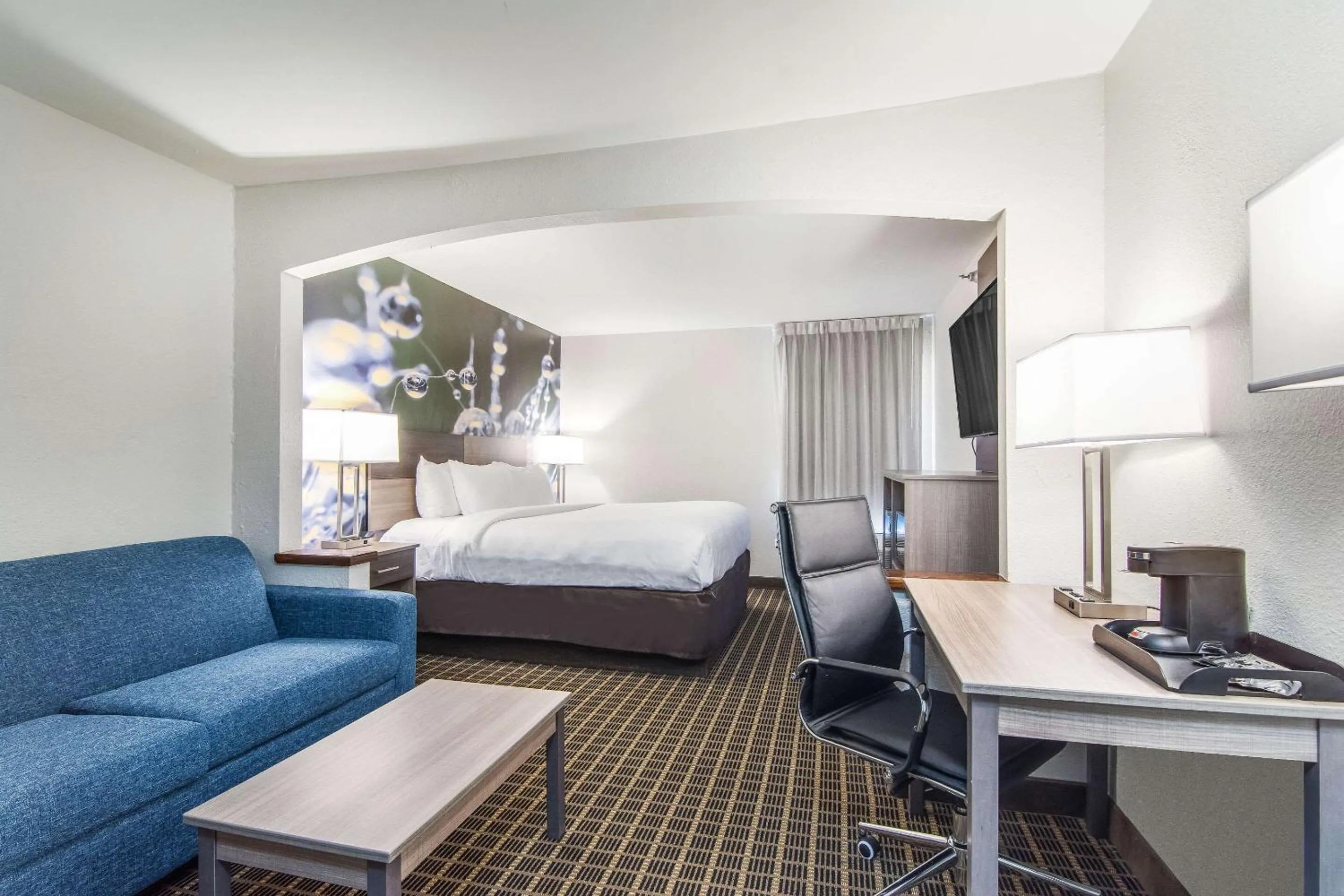 King Suite - Non-Smoking in Clarion Pointe South Boston - Danville East