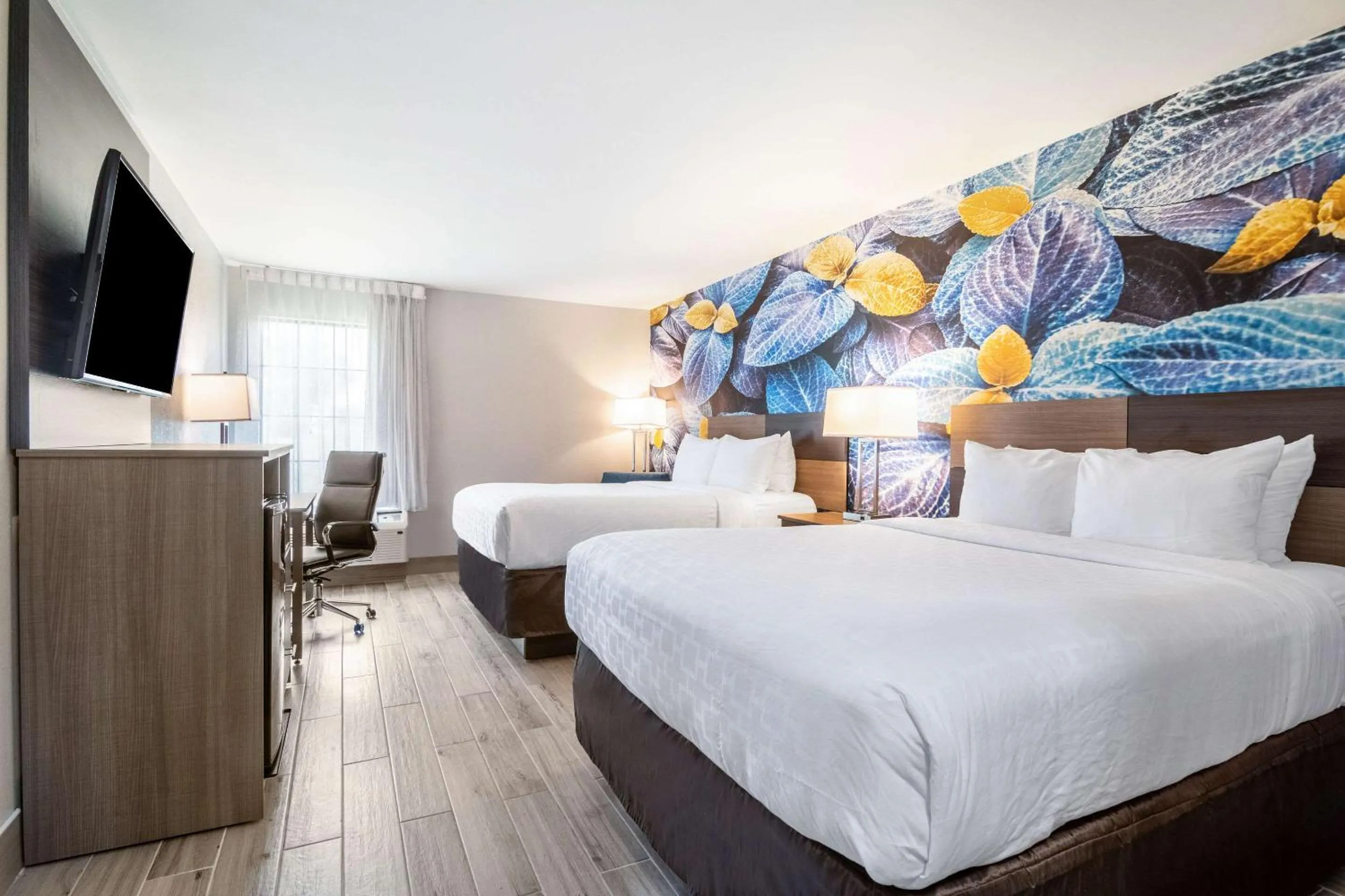 Queen Room with Two Queen Beds - Non Smoking/Pet Friendly in Clarion Pointe South Boston - Danville East