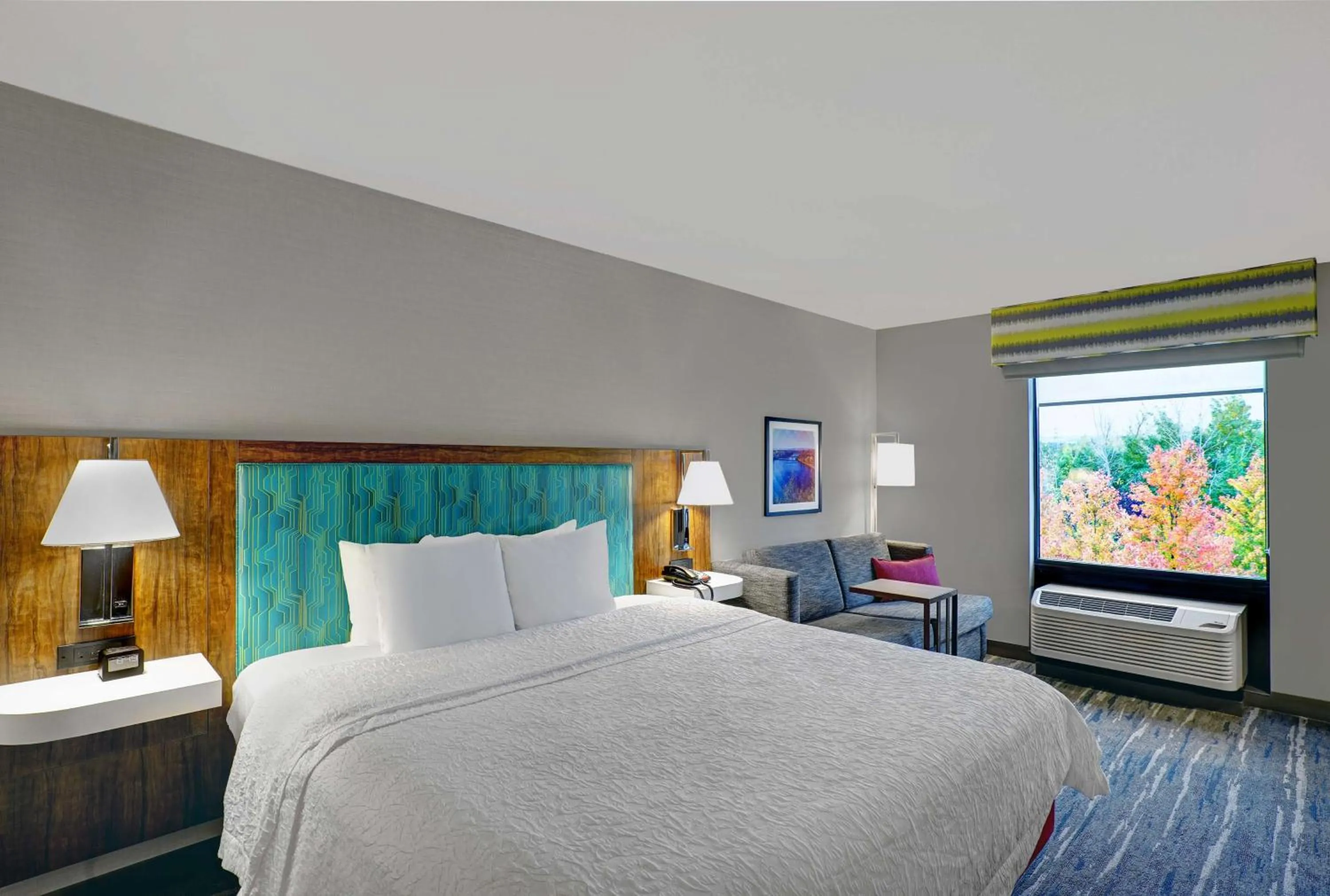 King Room with Roll-In Shower - Mobility and Hearing Access/Non-Smoking in Hampton Inn Utica
