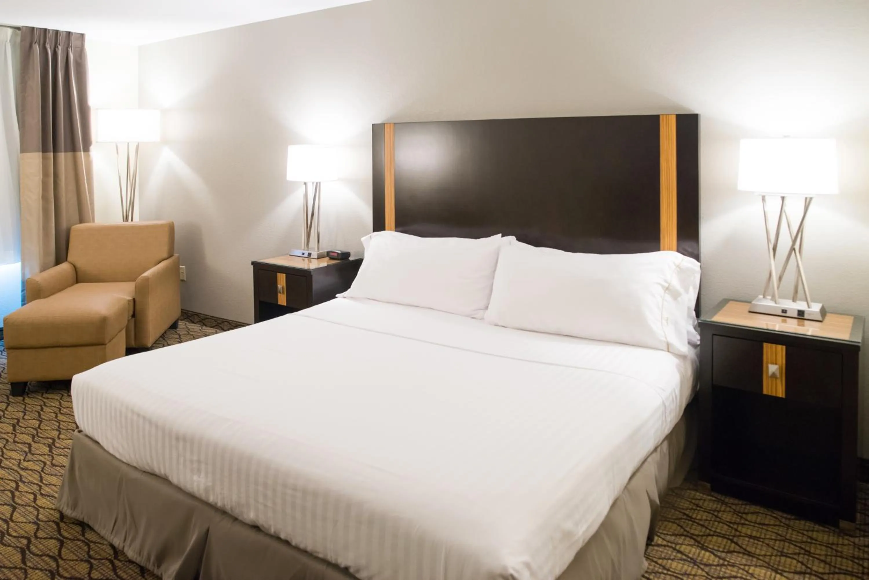 Executive King Room - Non-Smoking in Holiday Inn Express Hotel & Suites Chanhassen by IHG