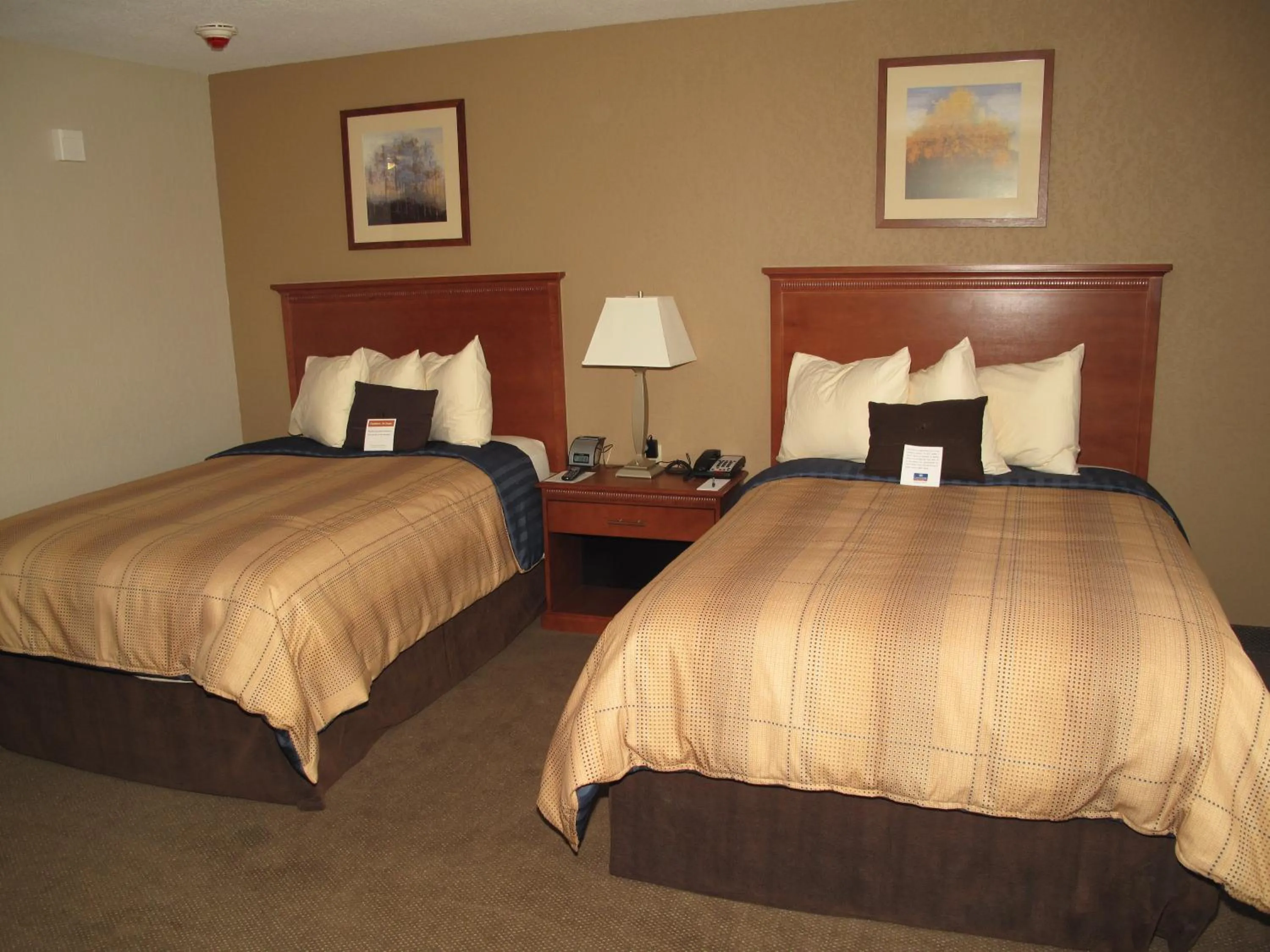 Studio Suite with Two Double Beds in Candlewood Suites Elgin – Northwest Chicago by IHG