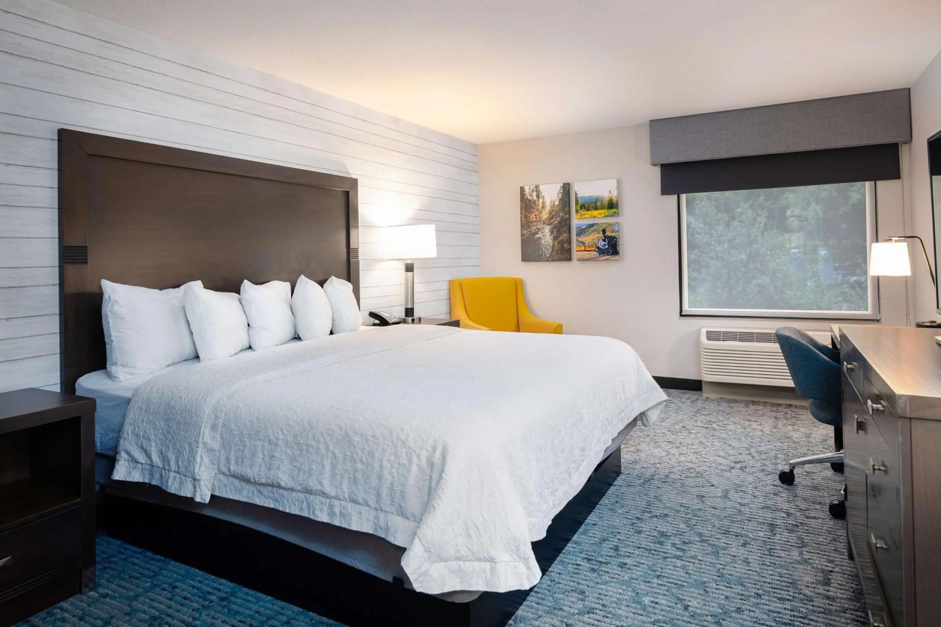 King Room - Mobility Access/Non-Smoking in Hampton Inn Durango
