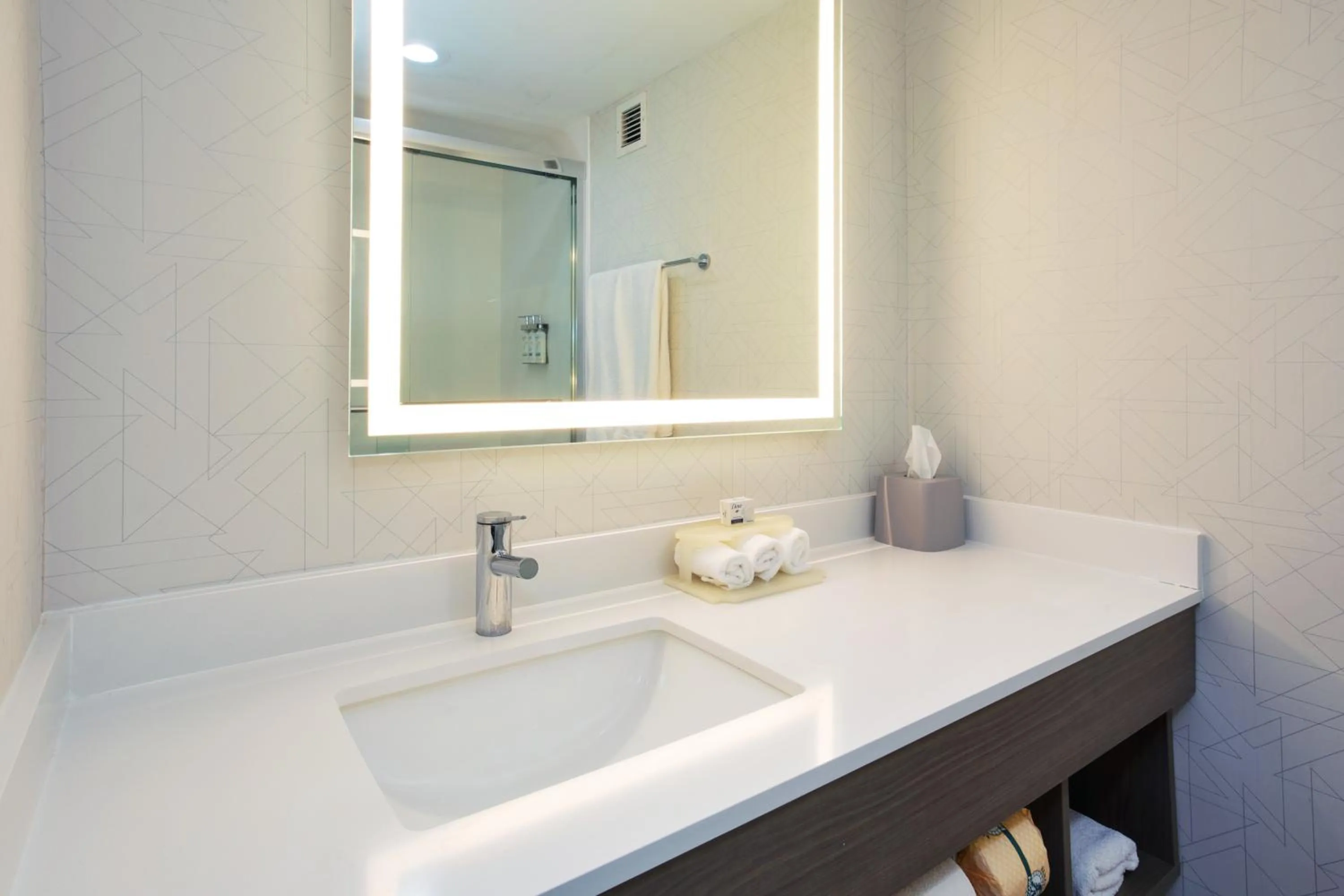 Standard Room in Holiday Inn Express Hotel & Suites Dover by IHG