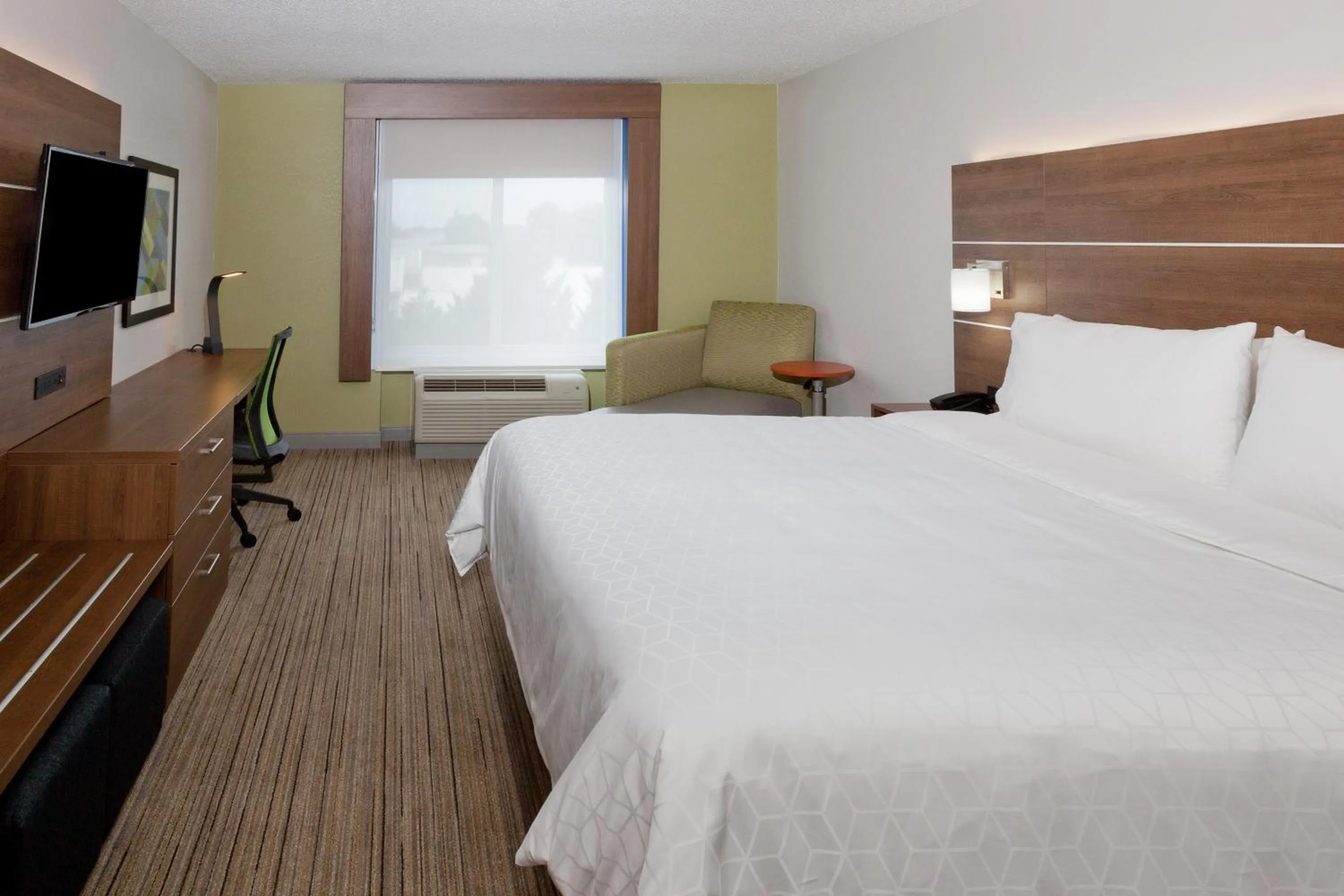 Standard King Room in Holiday Inn Express Hotel & Suites Dothan North by IHG