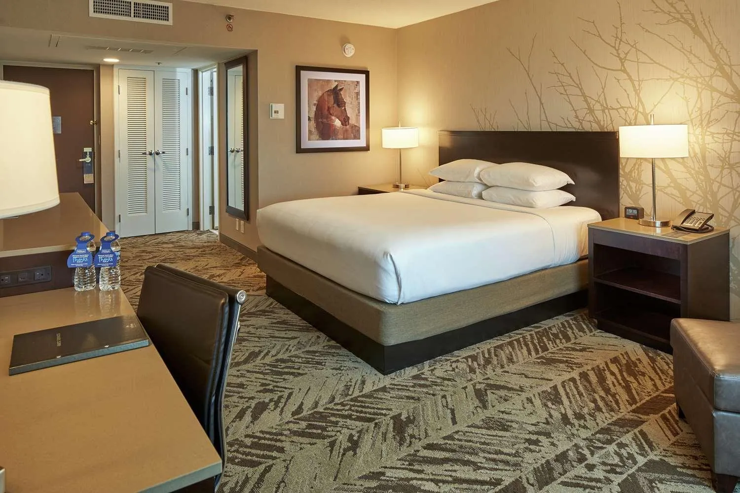 King Room in Hilton Cincinnati Airport