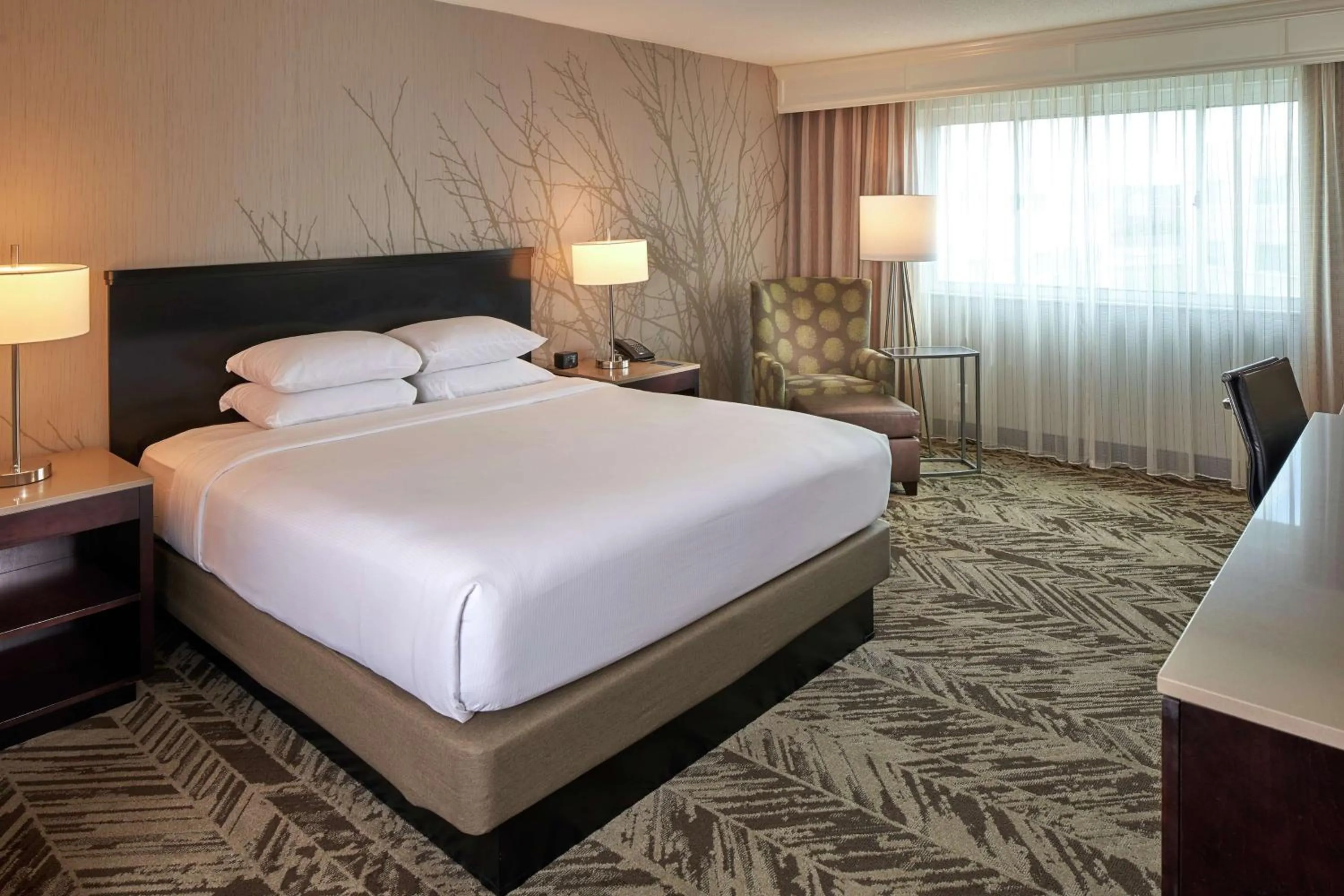 Deluxe King Room in Hilton Cincinnati Airport