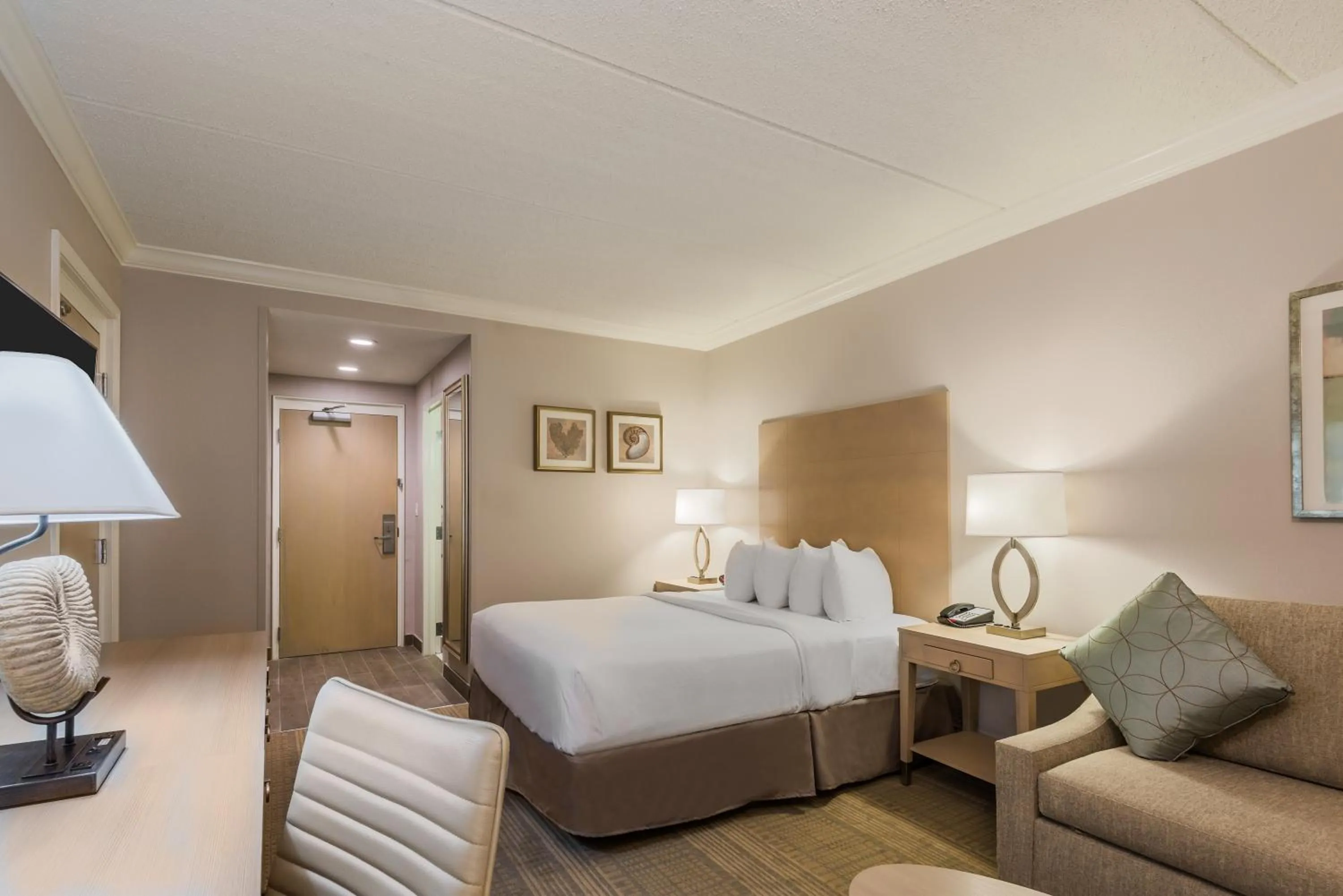 Standard King Room with Roll-In Shower - Communications Access in Holiday Inn Express Fairhope - Point Clear by IHG
