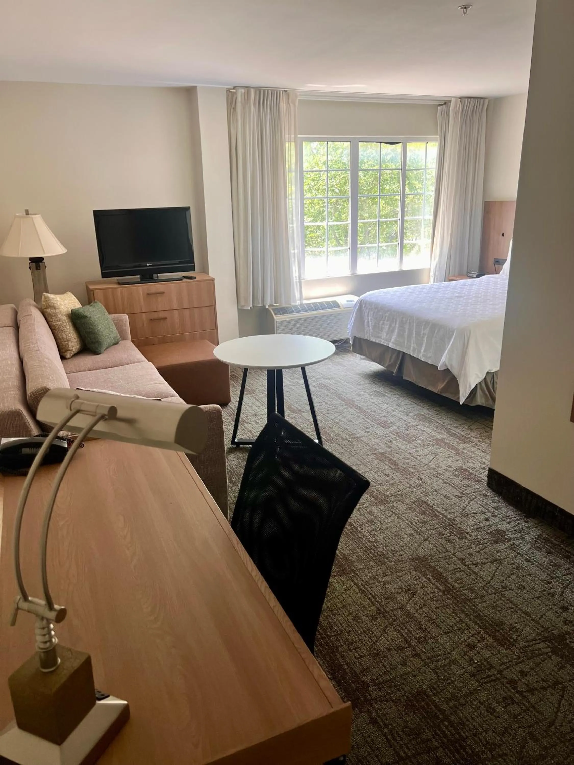 Studio Queen Suite in Staybridge Suites Austin Airport by IHG