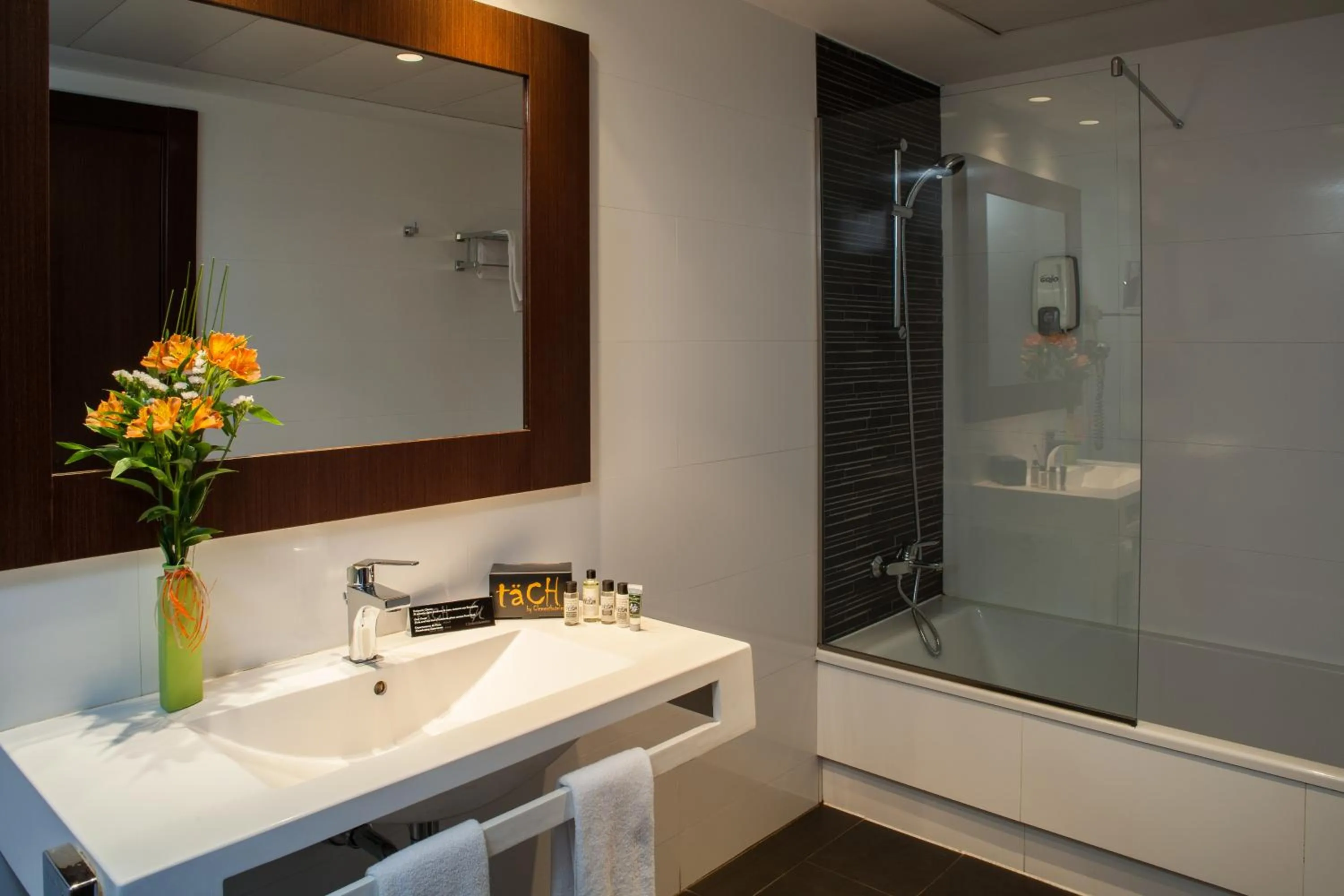 Triple Room with Bath in TaCH Madrid Airport