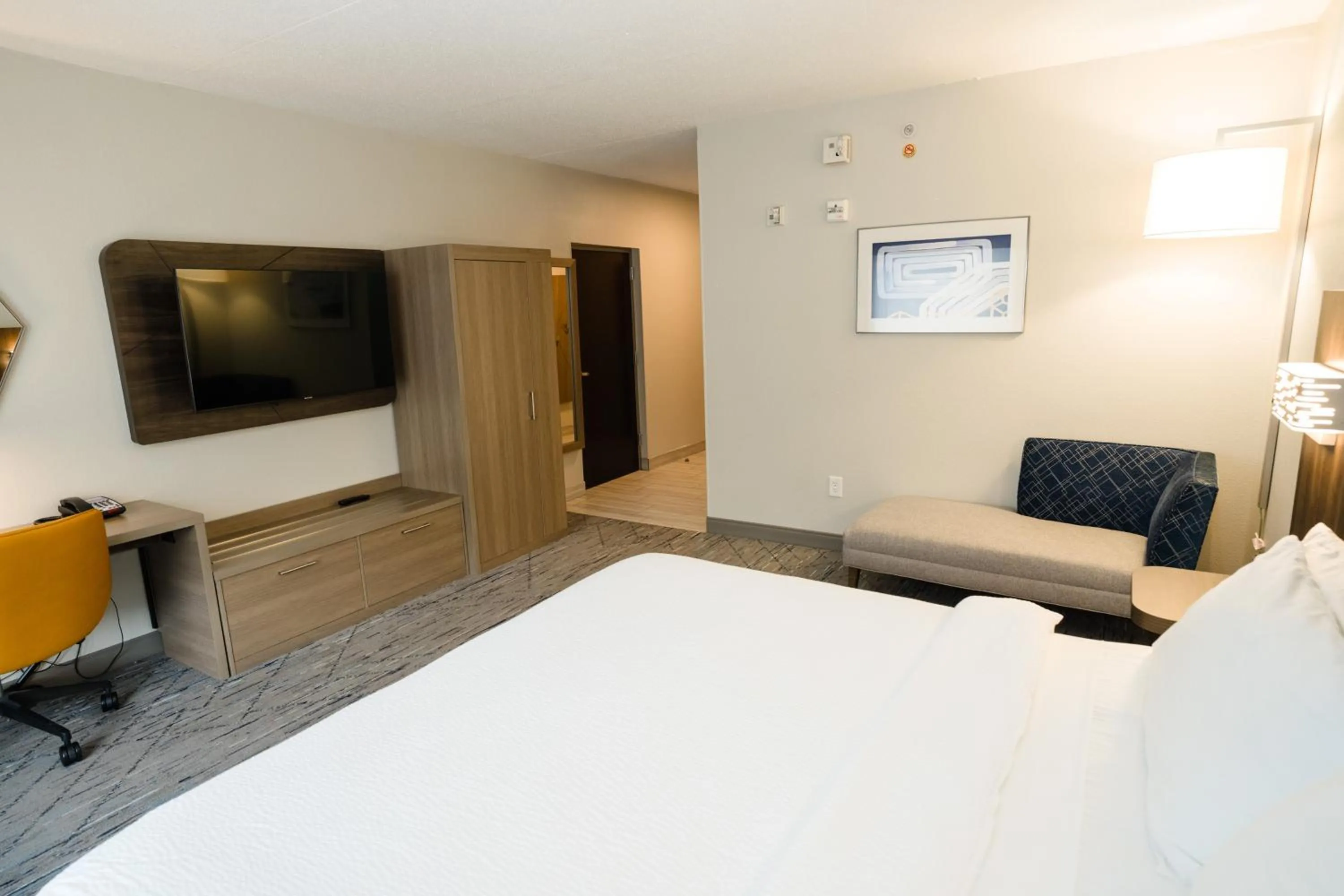 Standard King Room with Roll-In Shower - Mobility Access in Holiday Inn Express Hotel & Suites Kodak East-Sevierville by IHG