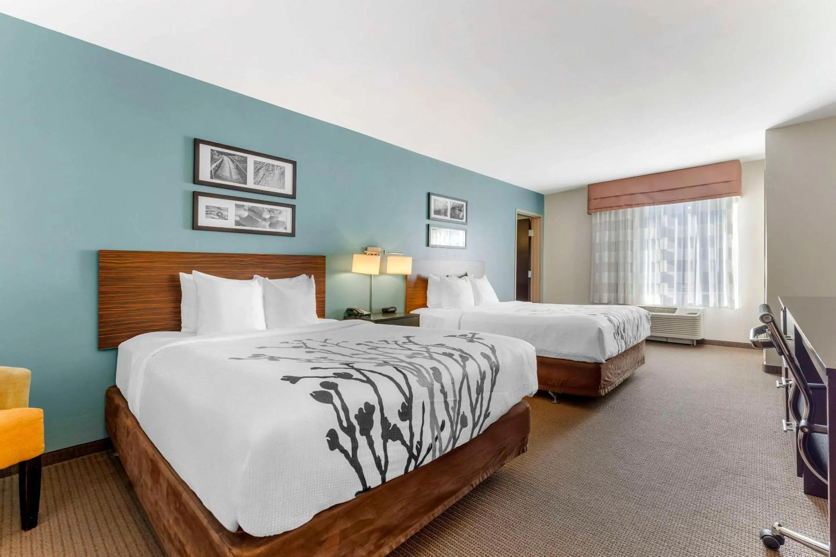 Queen Room with Two Queen Beds - Disability Access in Sleep Inn & Suites Cumberland