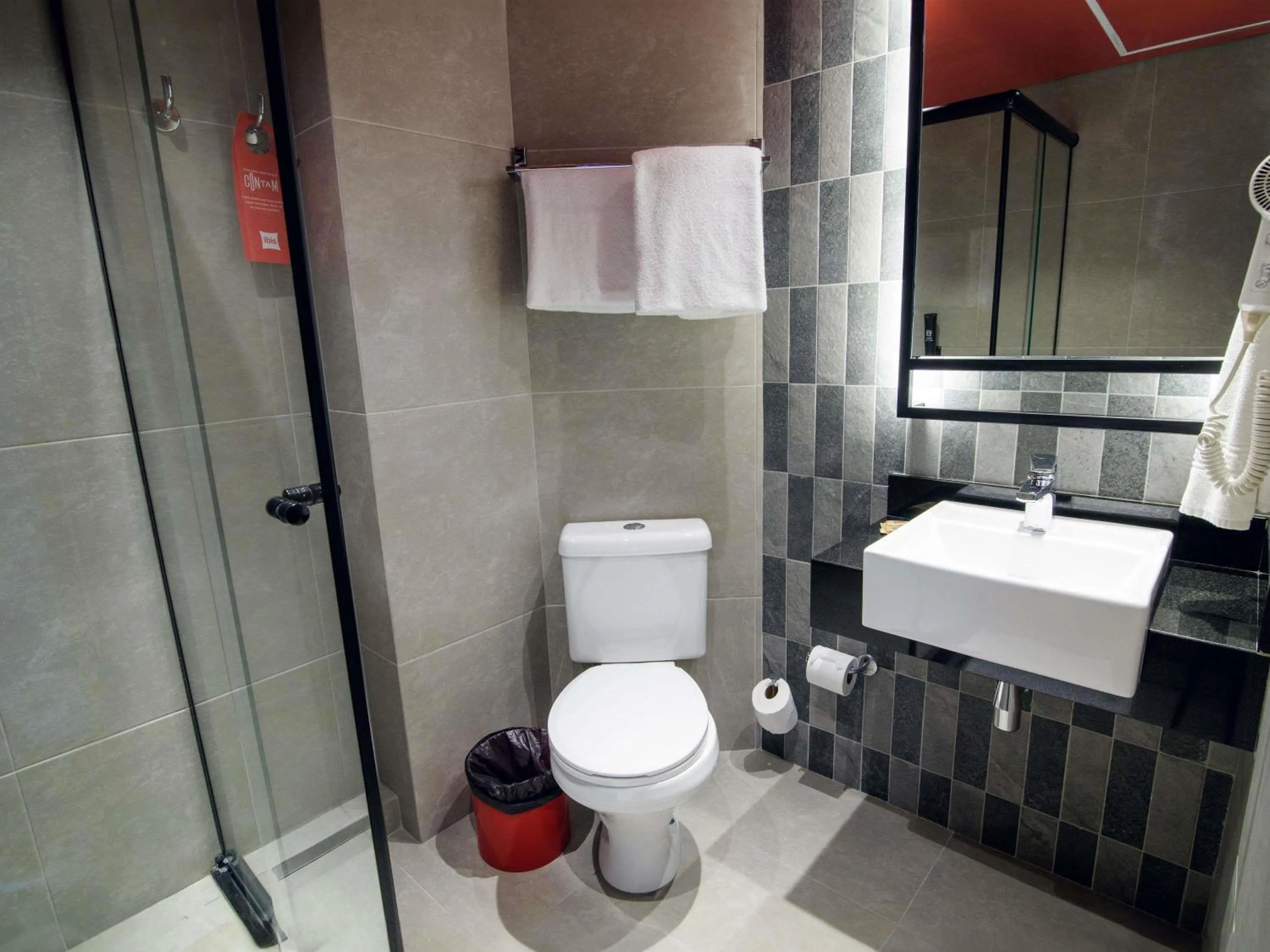 Standard Room with One Double and One Sofa Bed - single occupancy in ibis Curitiba Batel