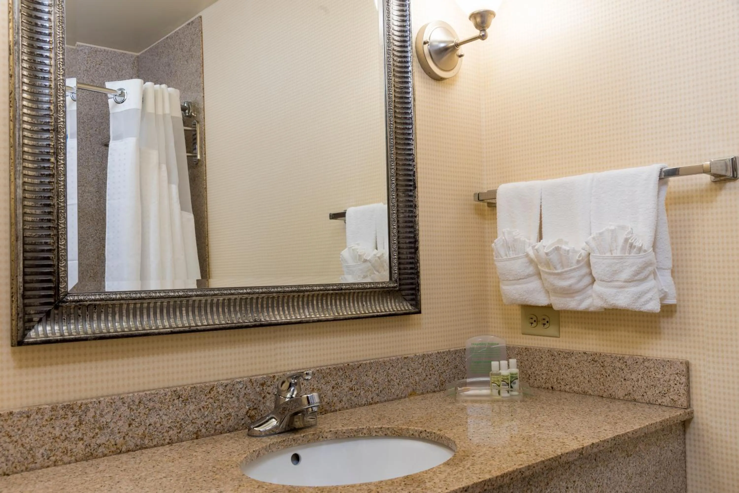 Standard King Room in Holiday Inn Aurora North - Naperville by IHG