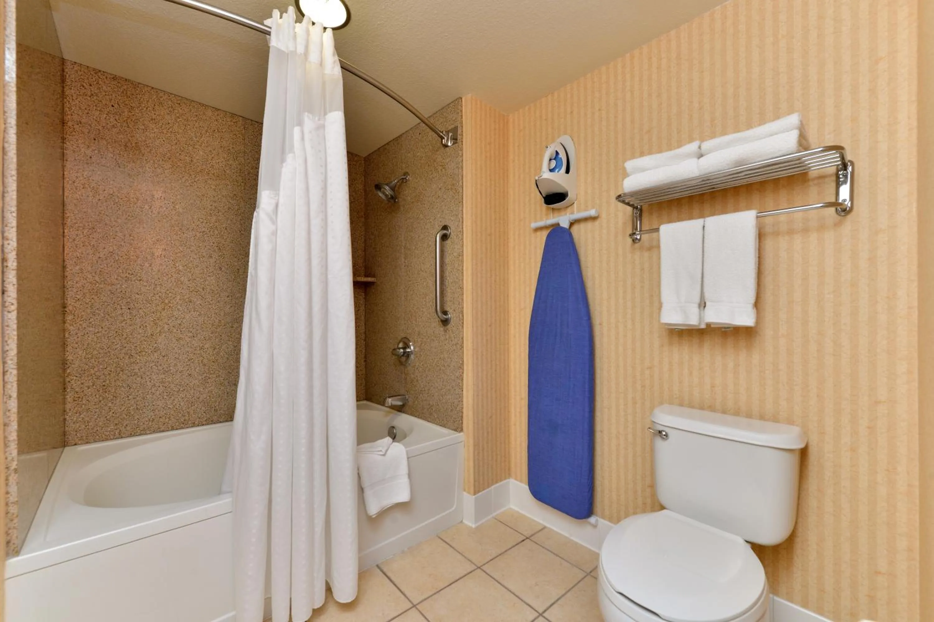 One-Bedroom King Suite with Sofa Bed in HOLIDAY INN EXPRESS & SUITES ELK GROVE CENTRAL - HWY 99 by IHG