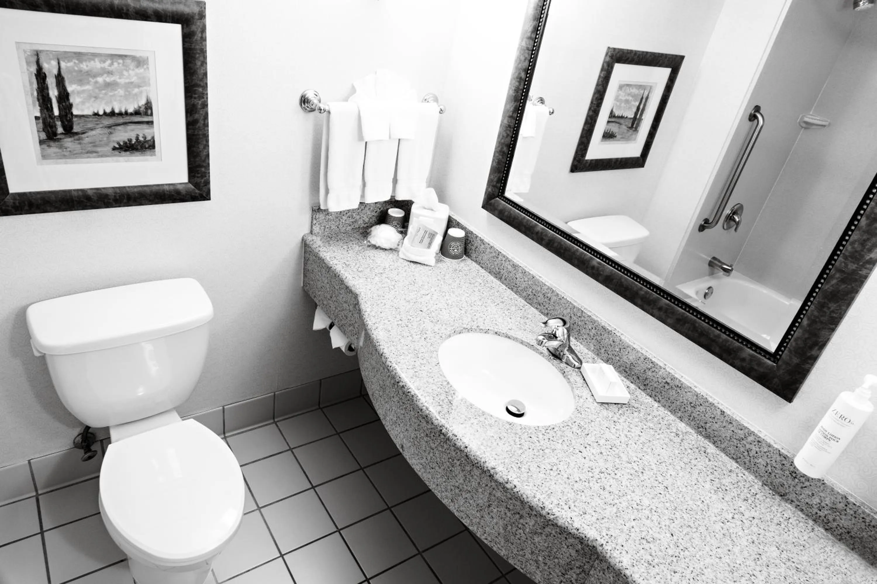 Queen Room with Two Queen Beds in Hilton Garden Inn Gettysburg