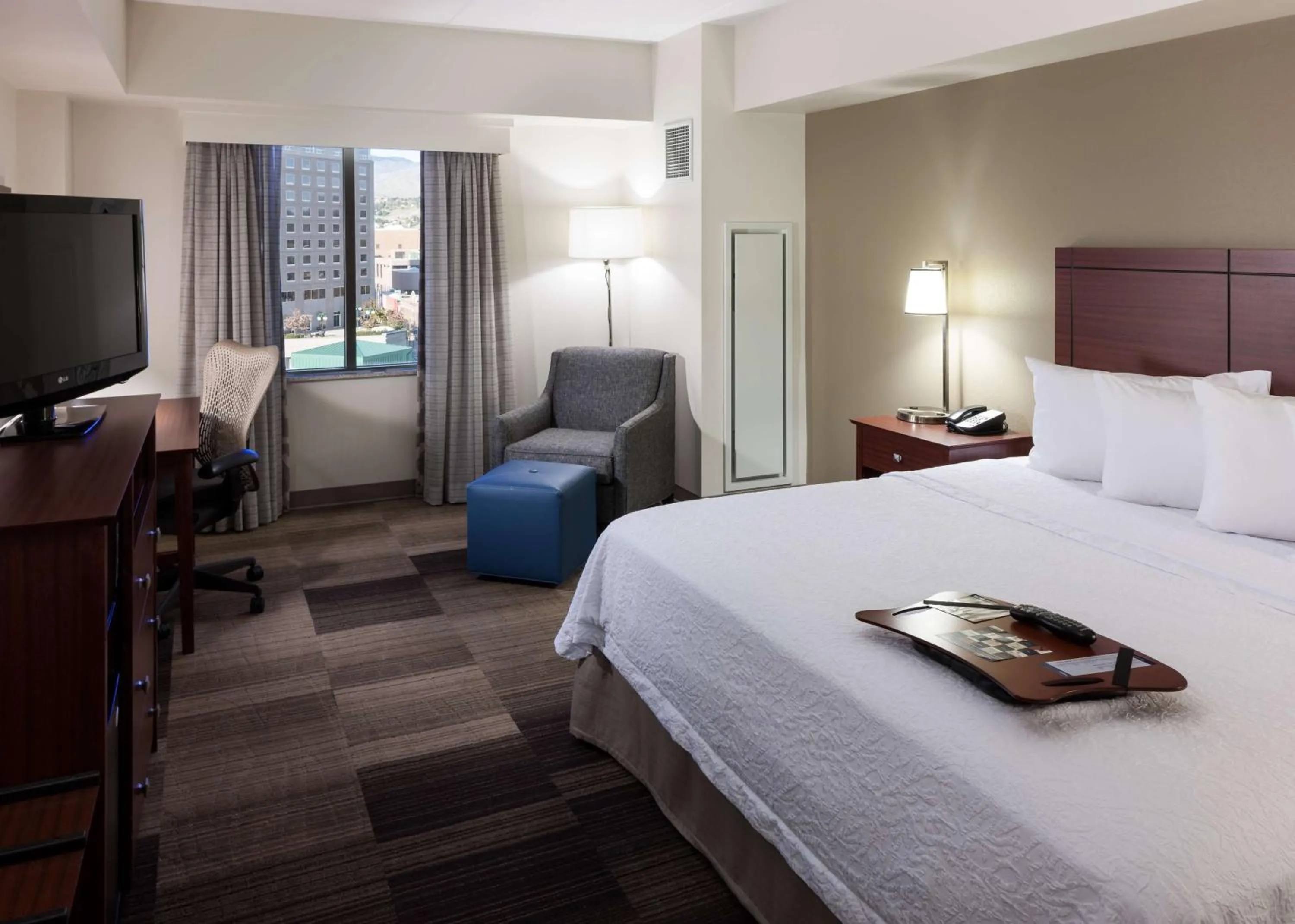 King Room with Accessible Tub - Mobility and Hearing Access/Non-Smoking in Hampton Inn & Suites Boise-Downtown