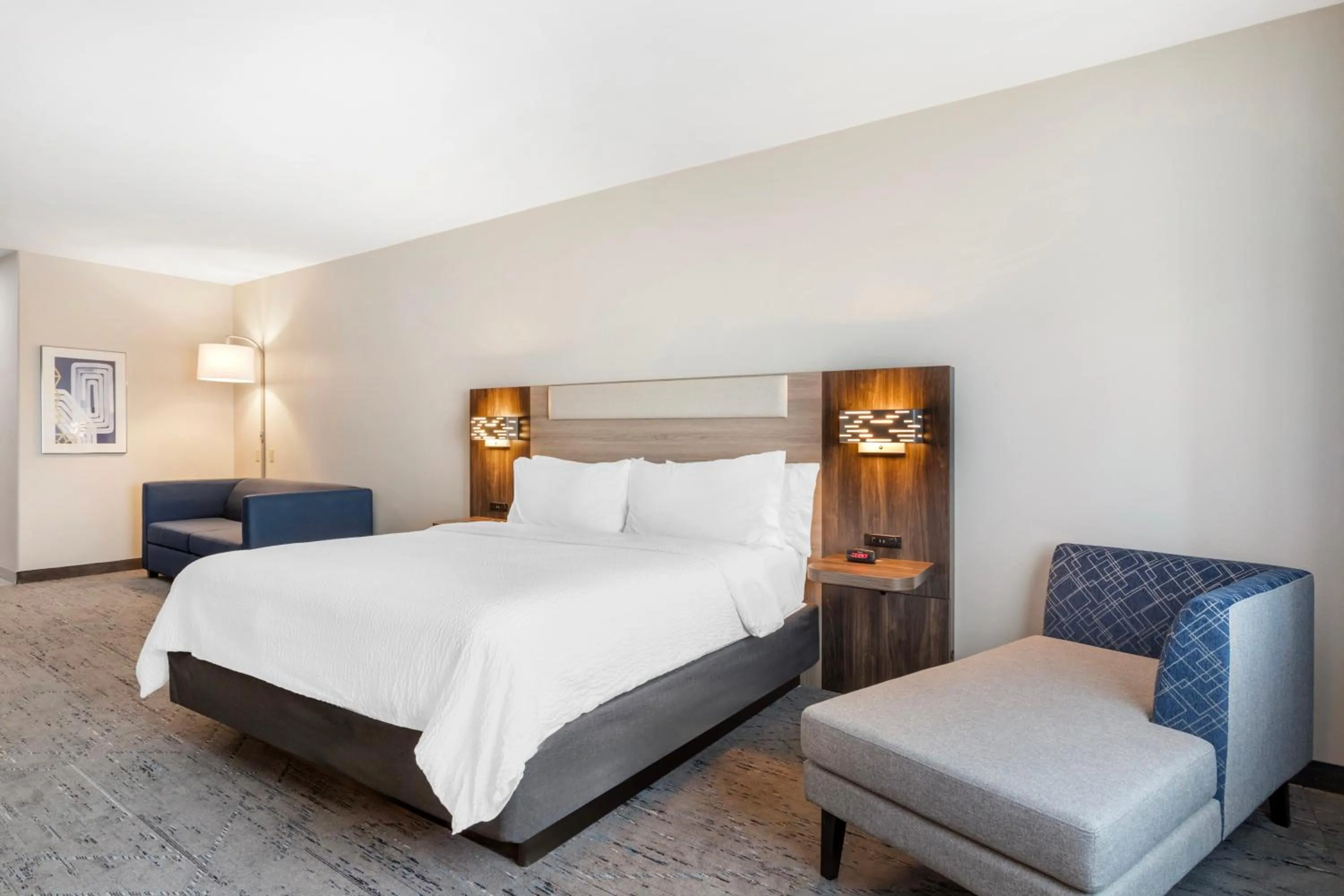 Premium King Room with Sofa in Holiday Inn Express Hotel and Suites Alice by IHG