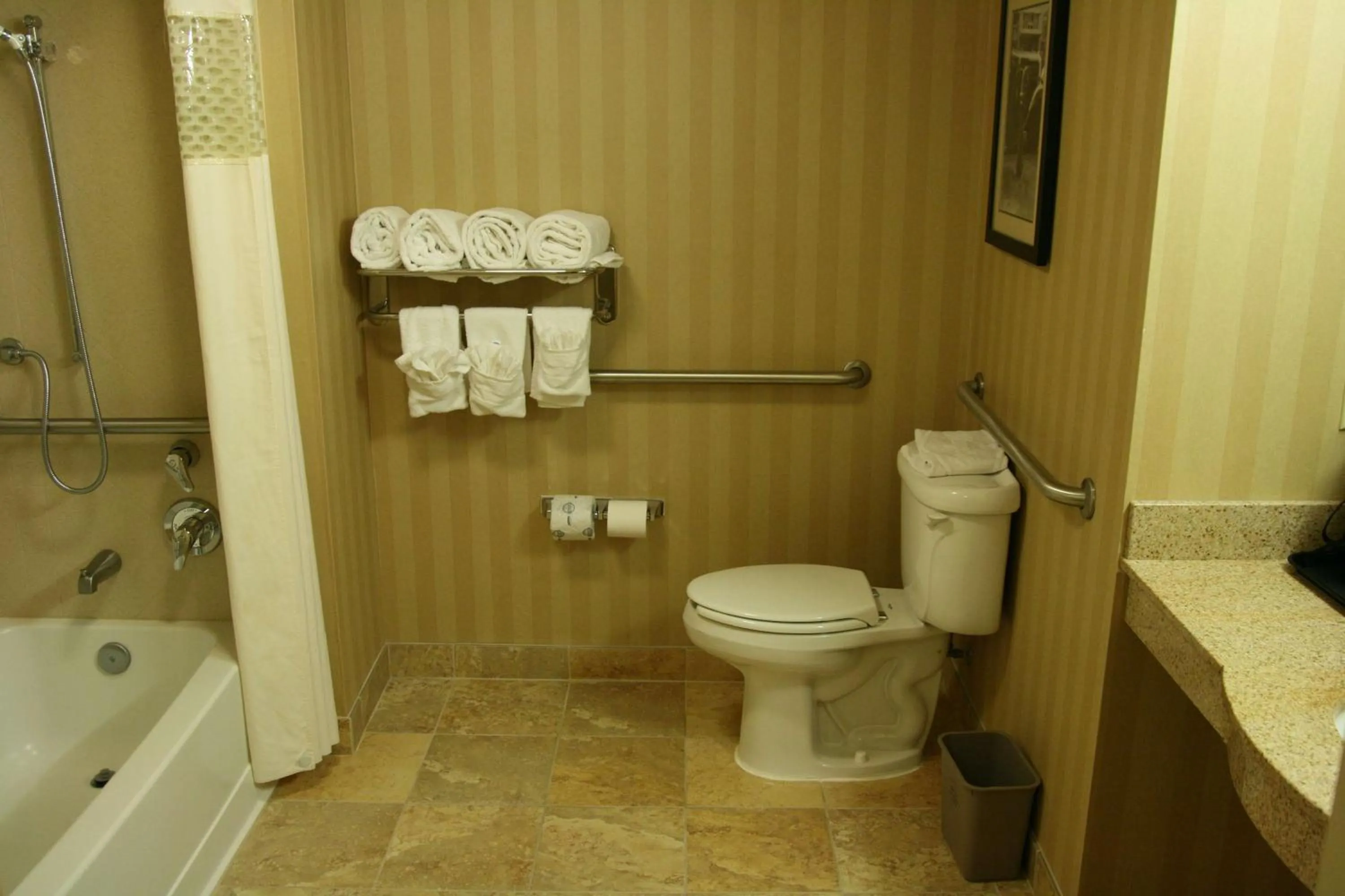 King Room with Accessible Tub - Mobility and Hearing Access/Non-Smoking in Hampton Inn & Suites Mobile Providence Park/Airport