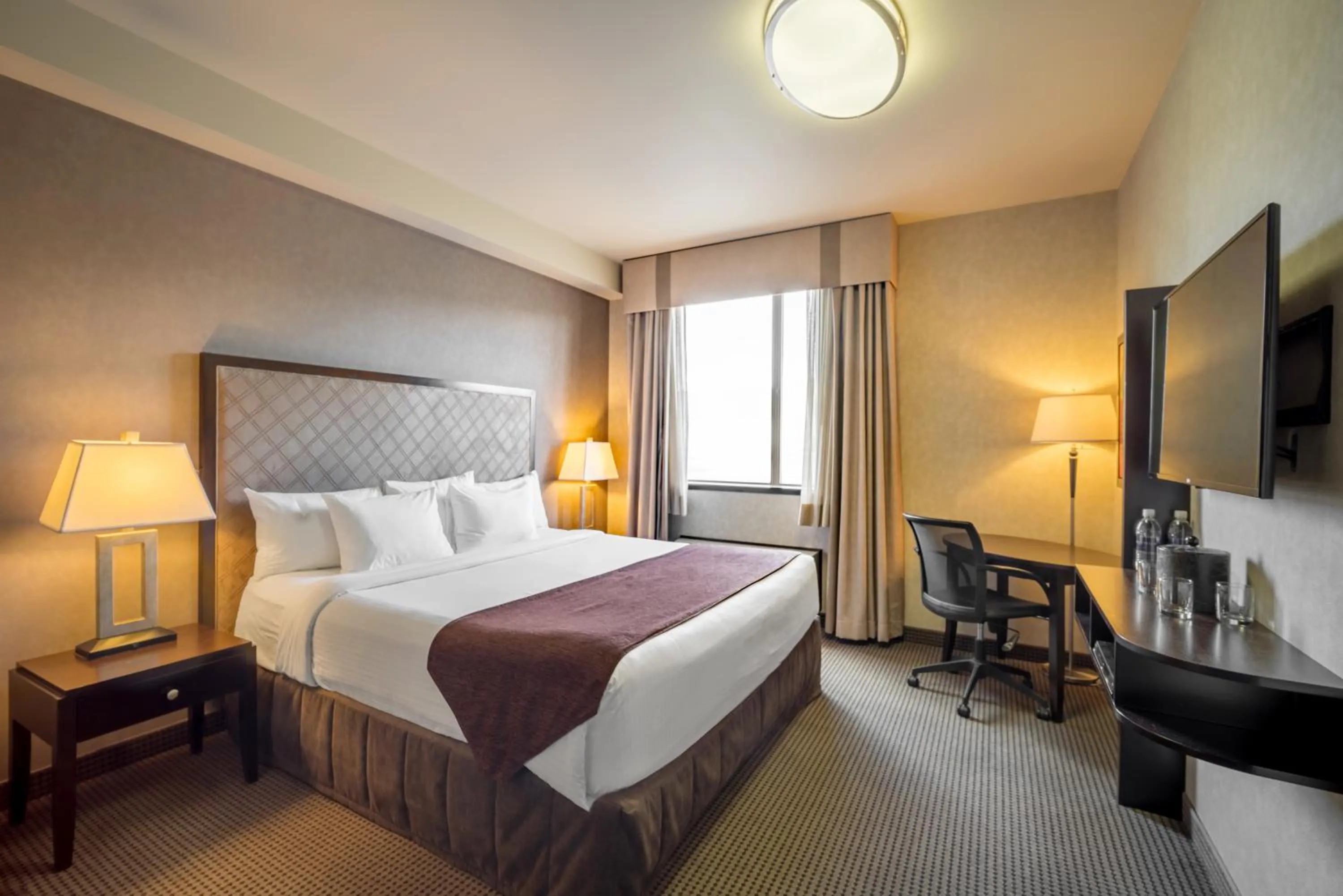 One-Bedroom King Suite with Sofa Bed in Acclaim Hotel by CLIQUE