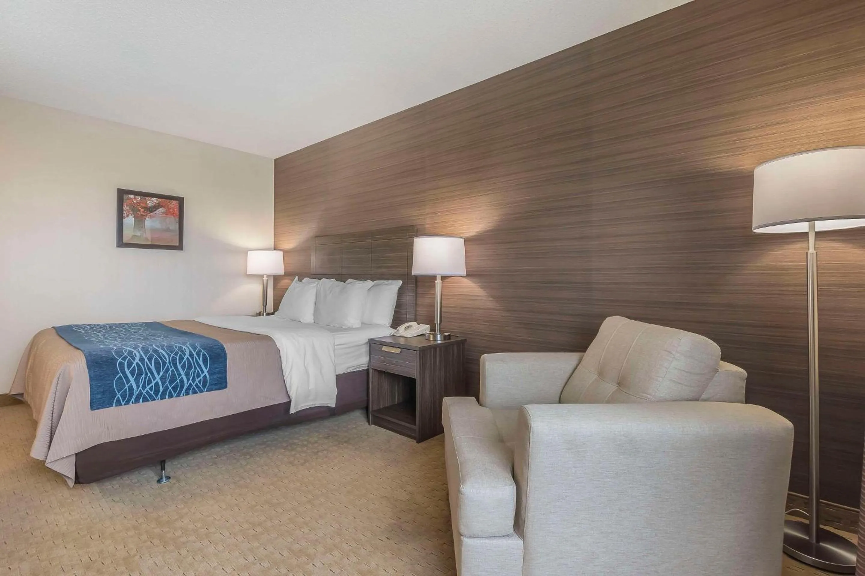 Standard Queen Room - Upper Floor in Comfort Inn