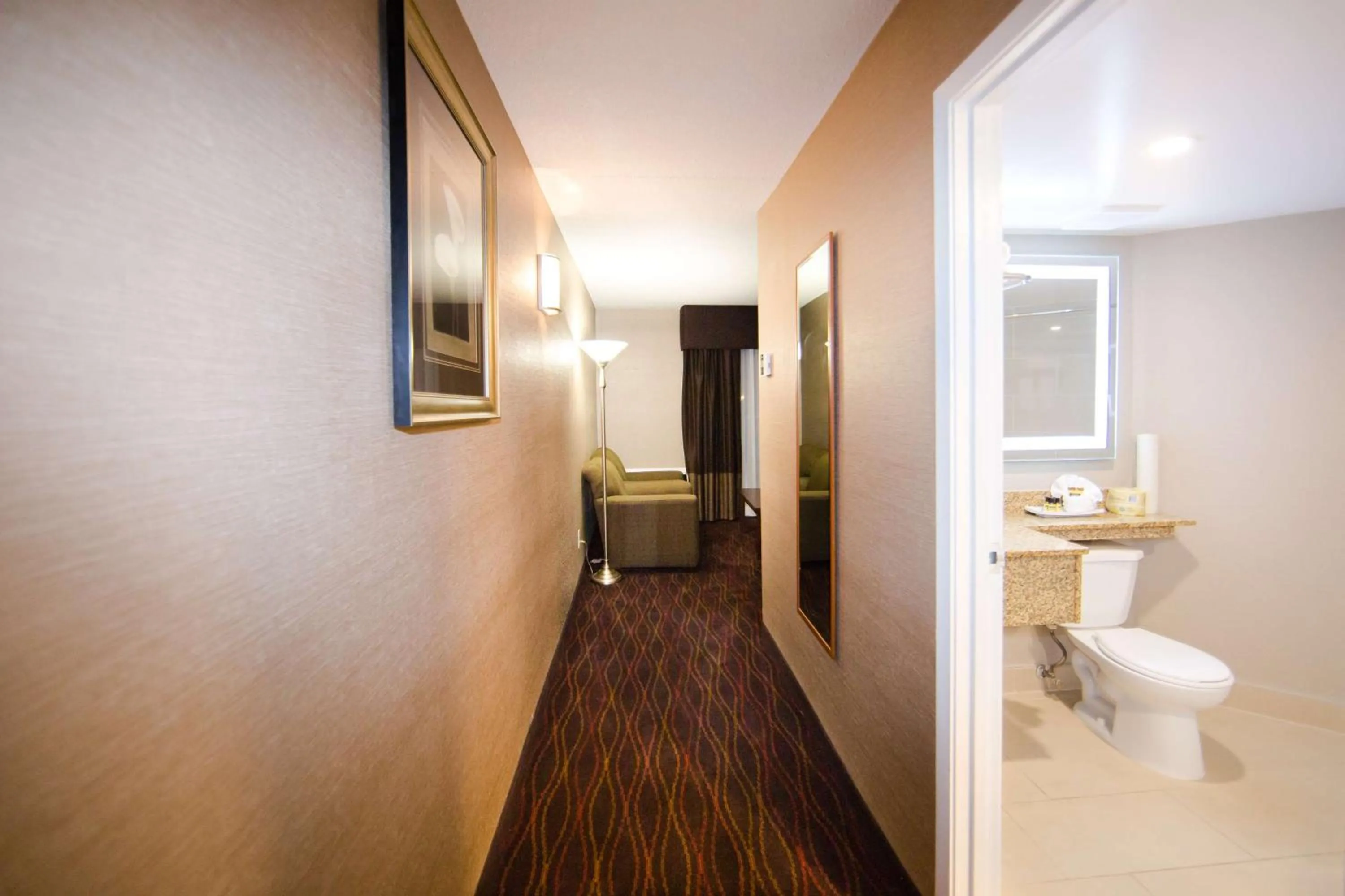 King Studio in Best Western Plus Ottawa Kanata Hotel and Conference Centre