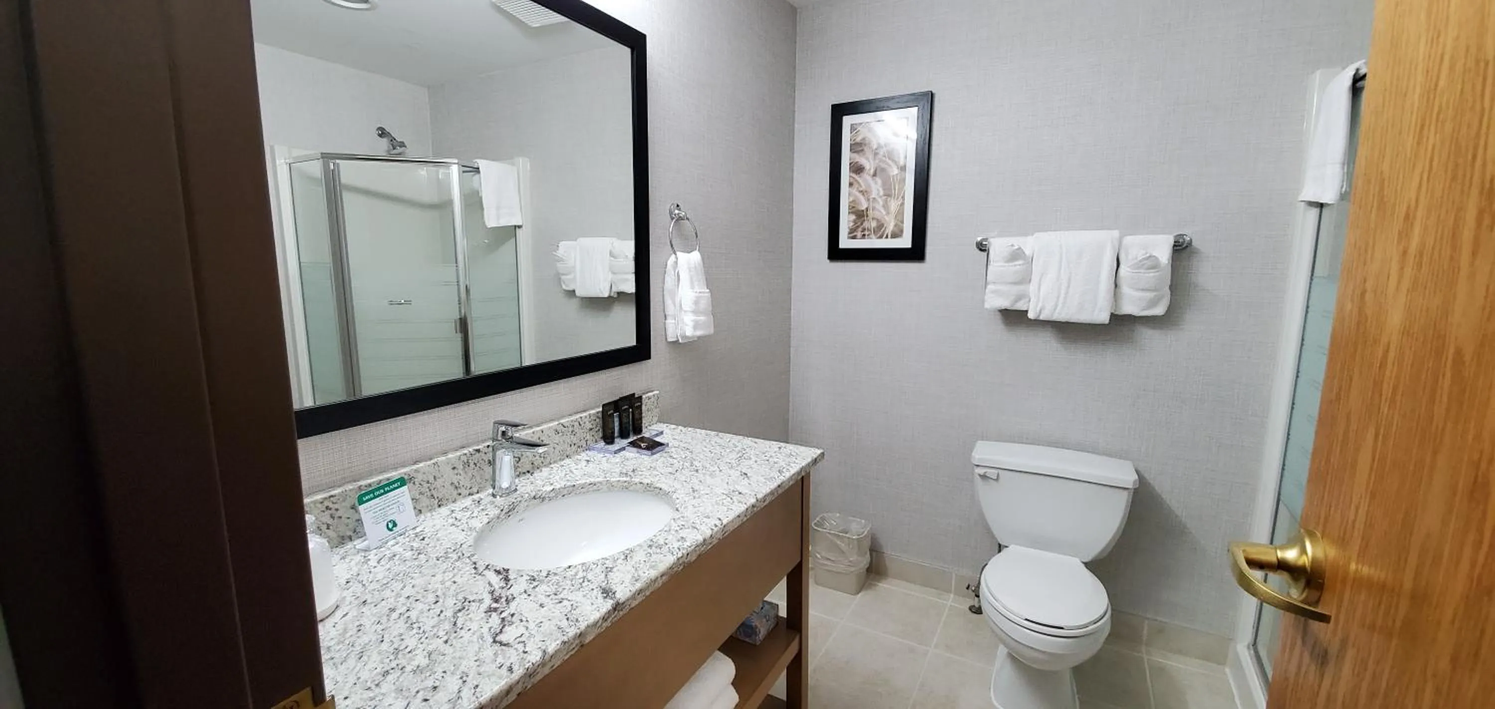 Studio with Two Queen Beds - Non-Smoking in Wingate by Wyndham Lethbridge