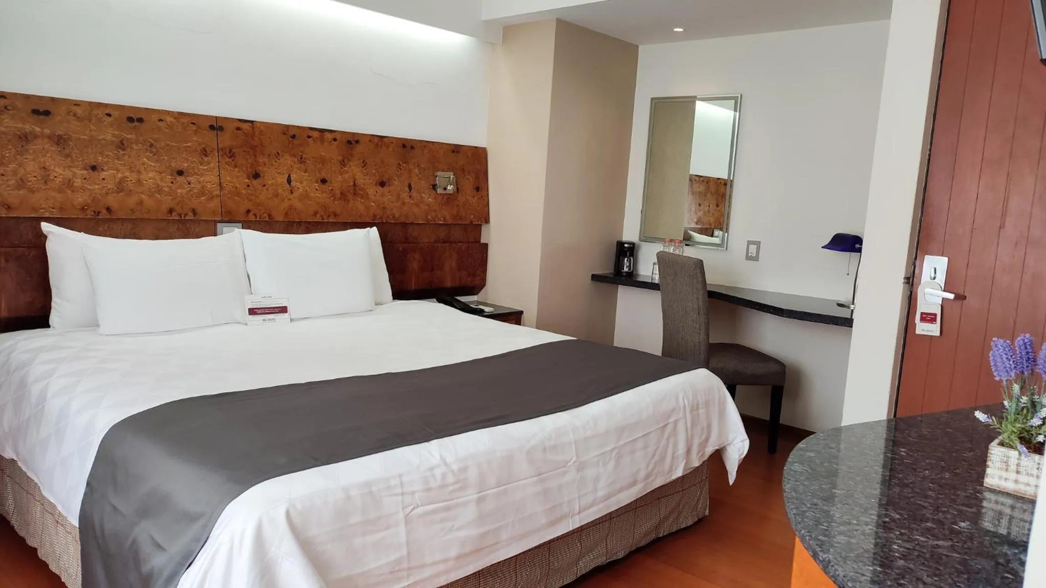 Deluxe Suite in Hotel Roosevelt Condesa