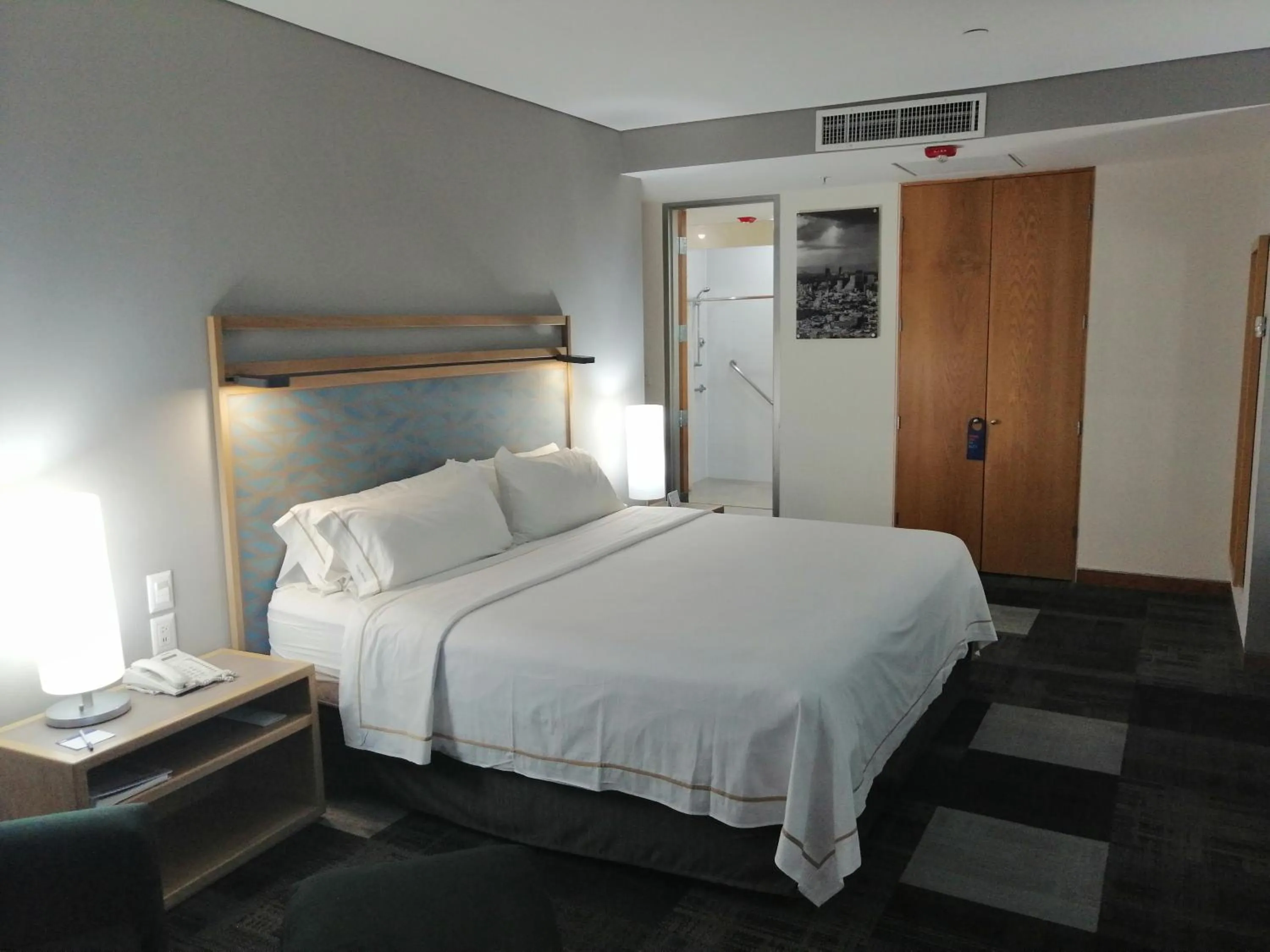 Standard King Room - Disability Access in Holiday Inn Express Mexico Reforma by IHG