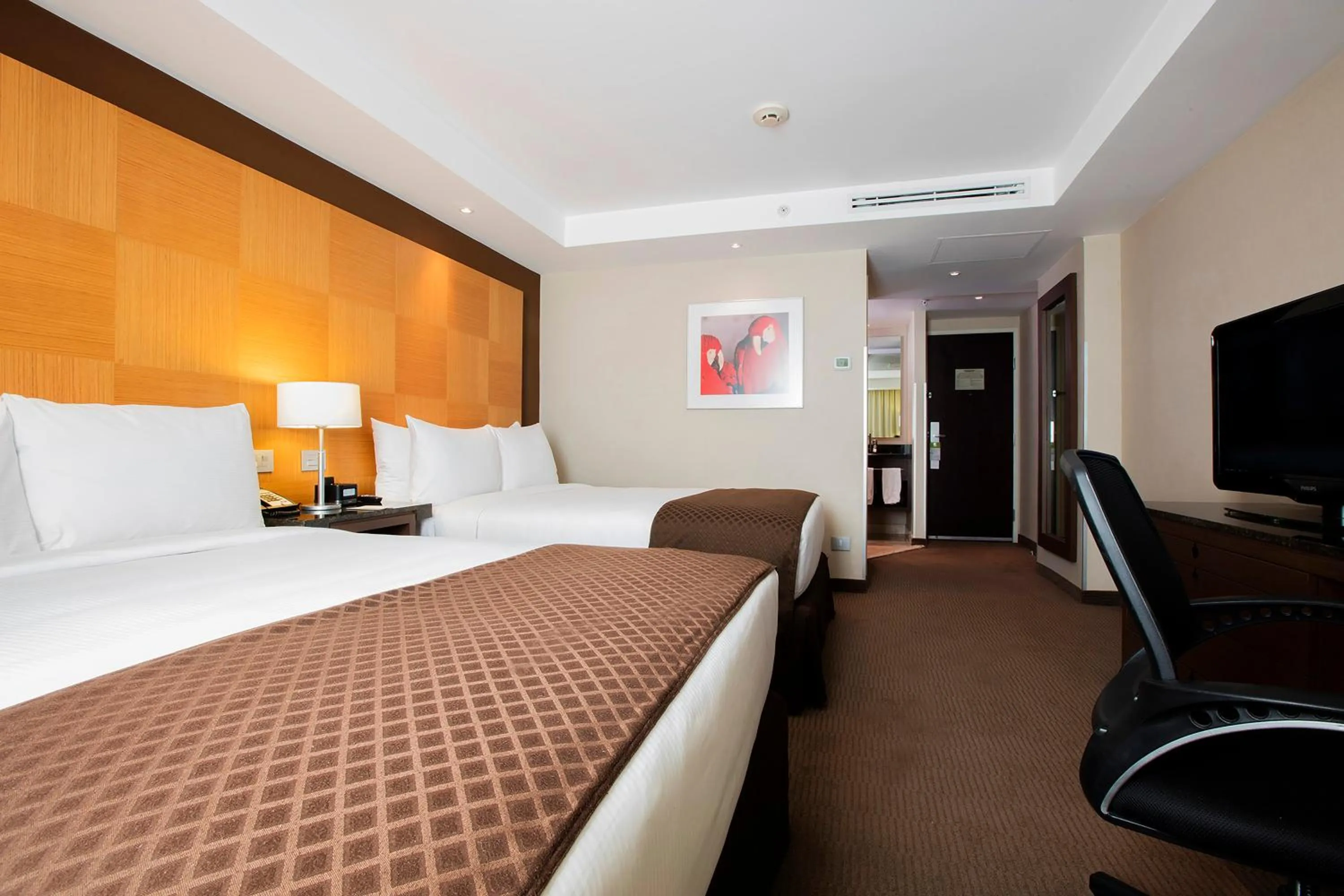 Standard Double Room in Krystal Urban Aeropuerto Ciudad de Mexico