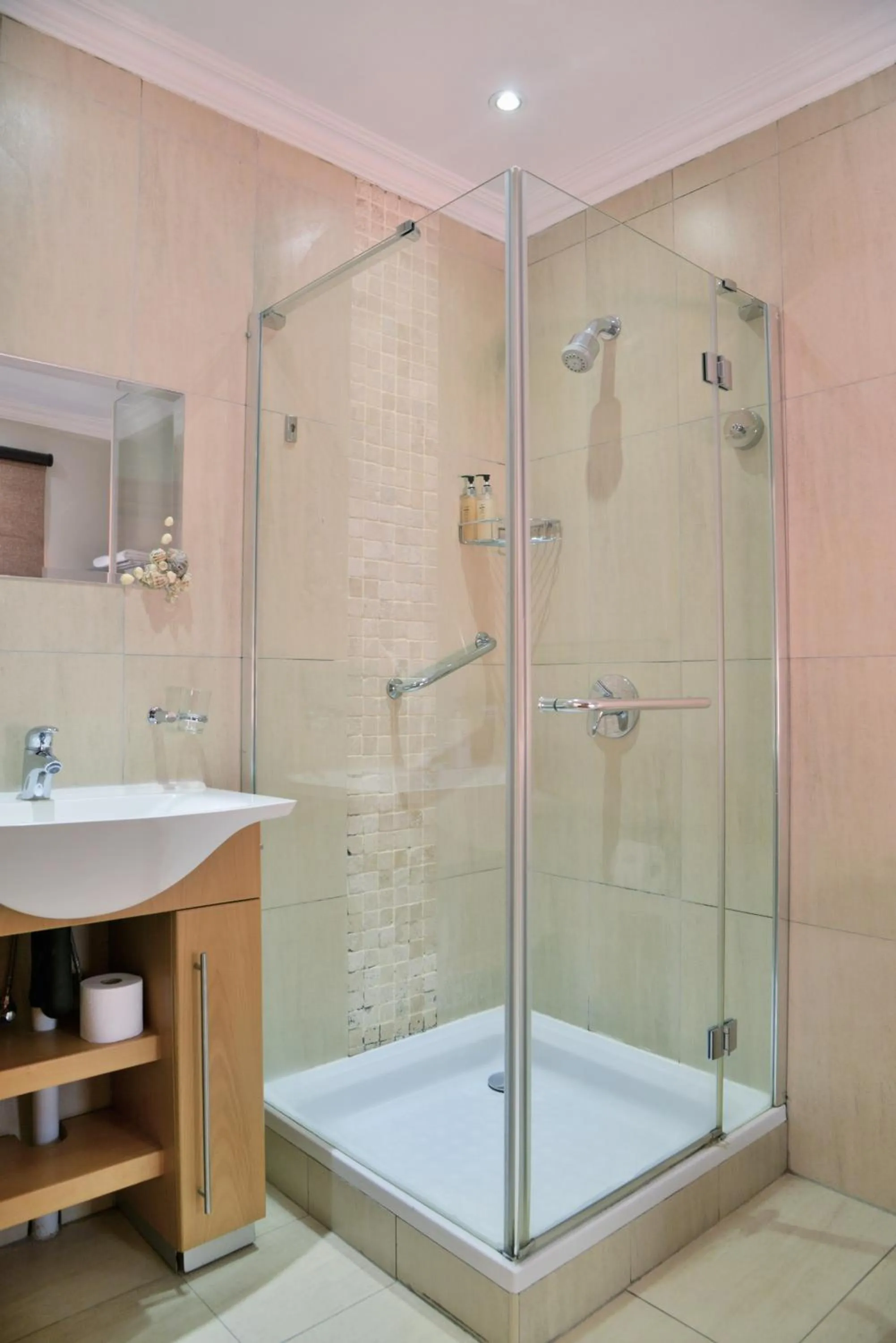 Deluxe Twin Room - single occupancy in Bellgrove Guest House Sandton