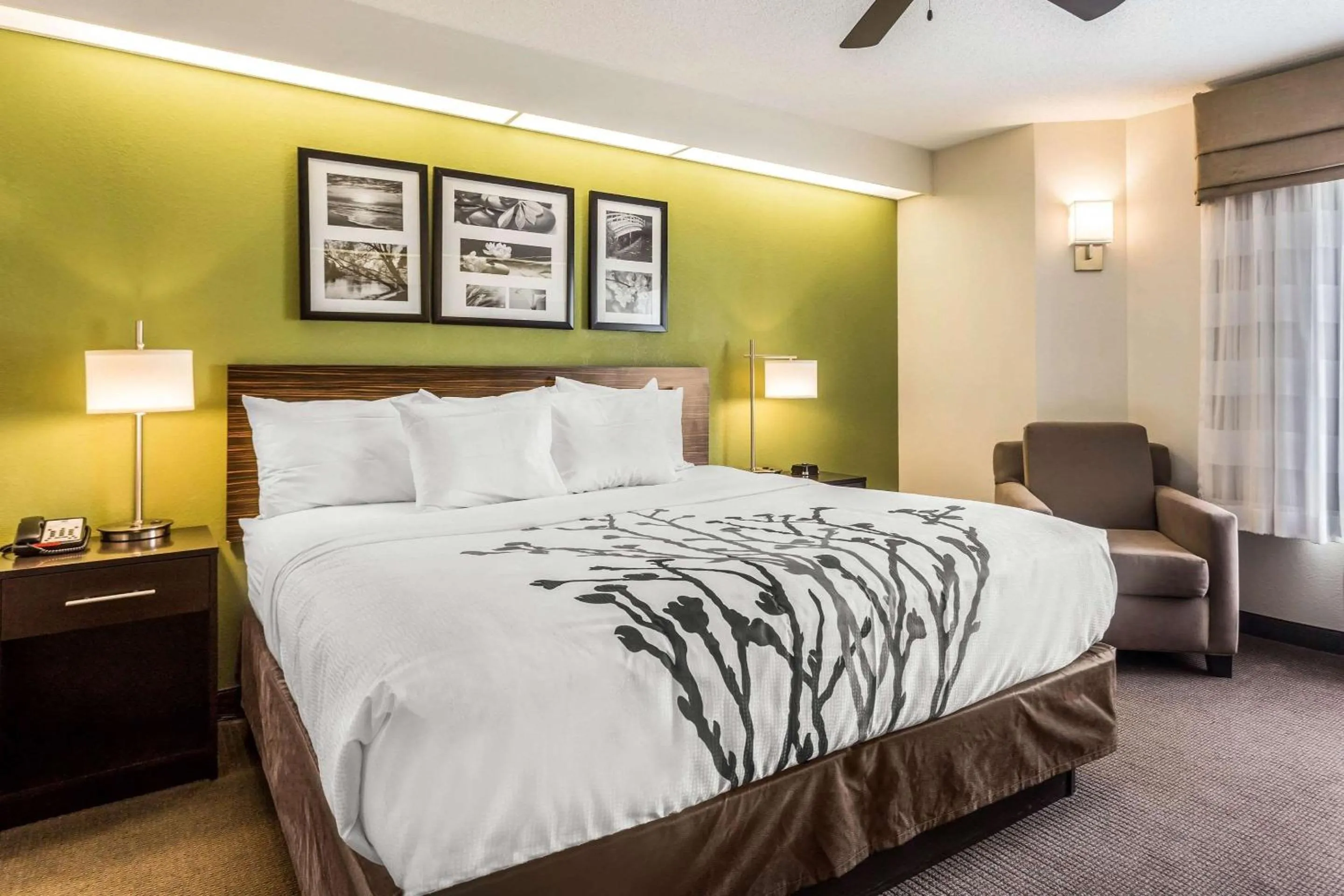 Standard King Room in Sleep Inn Charleston - West Ashley