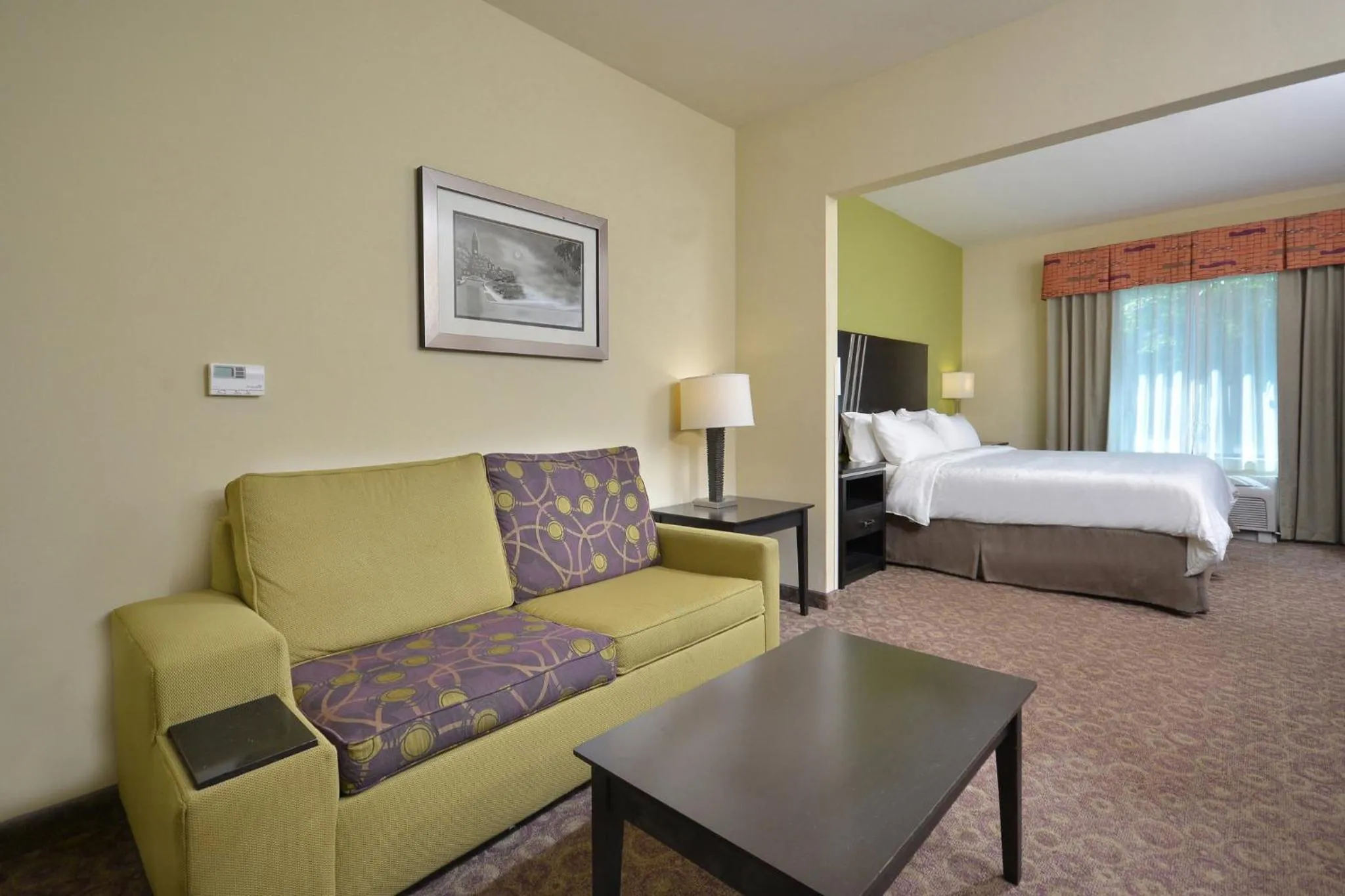 Executive King Suite - Disability Access in Holiday Inn Express Hotel & Suites Clemson - University Area by IHG