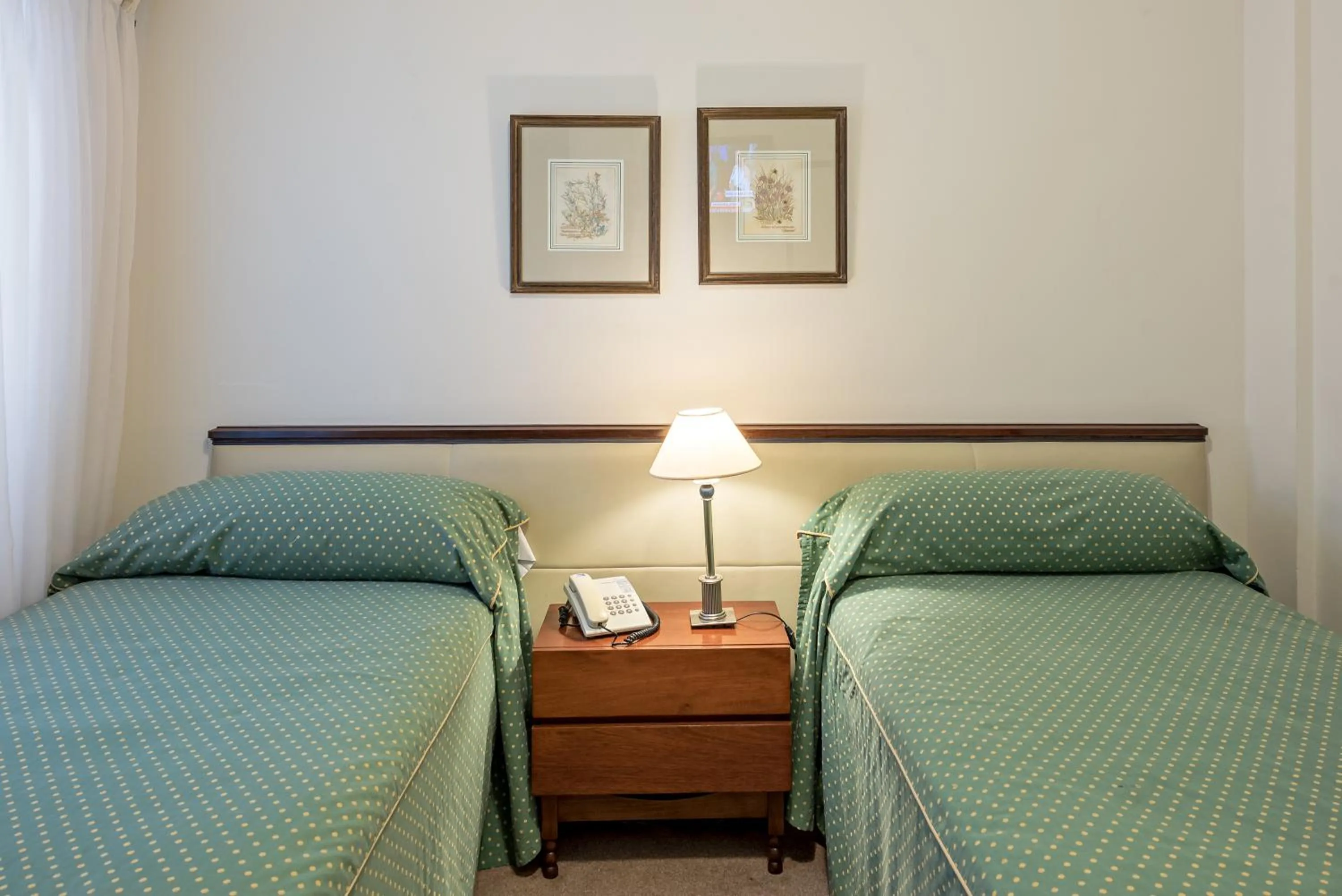 Standard Twin Room in Hotel Presidente