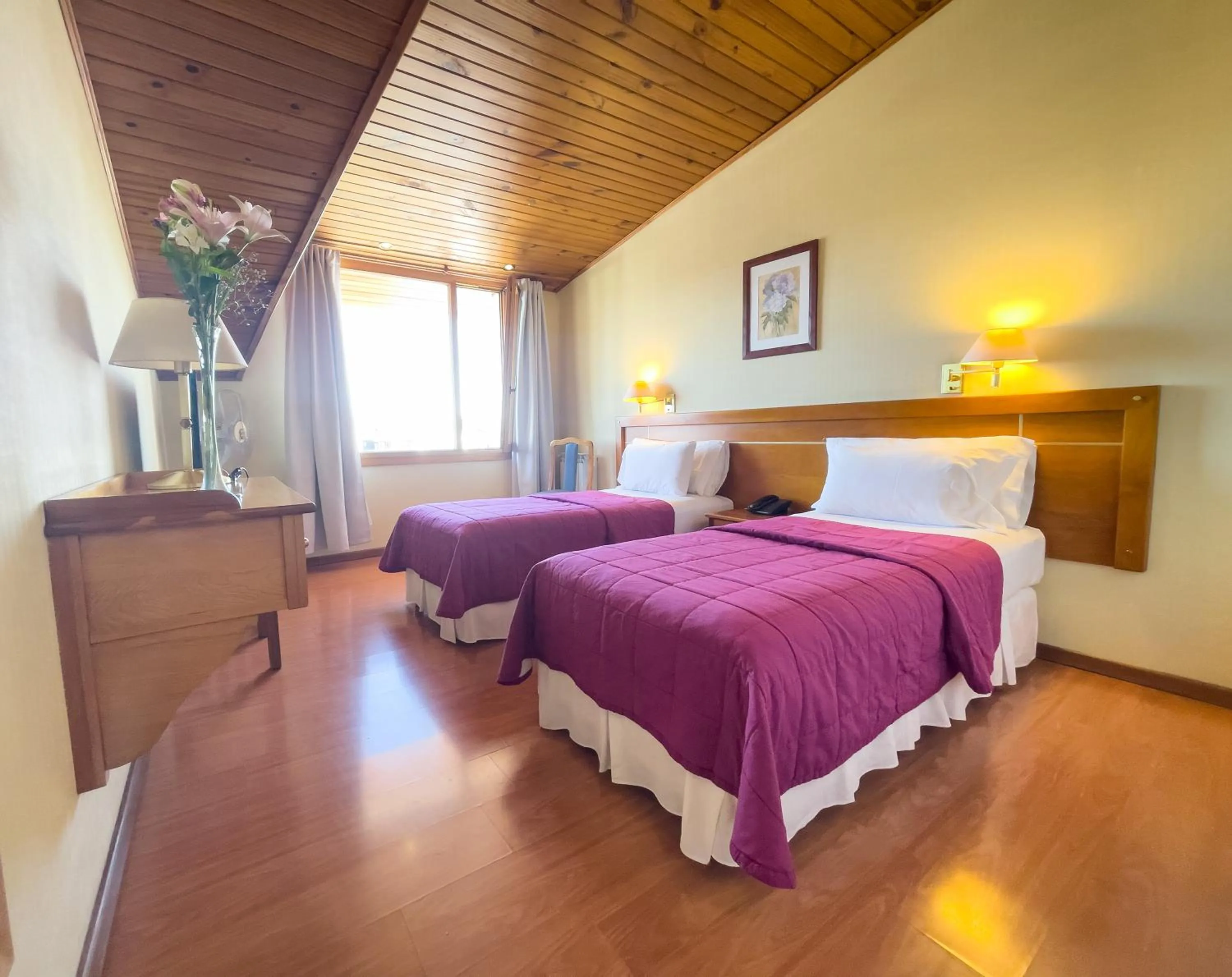 Single Room in Hotel Nahuel Huapi