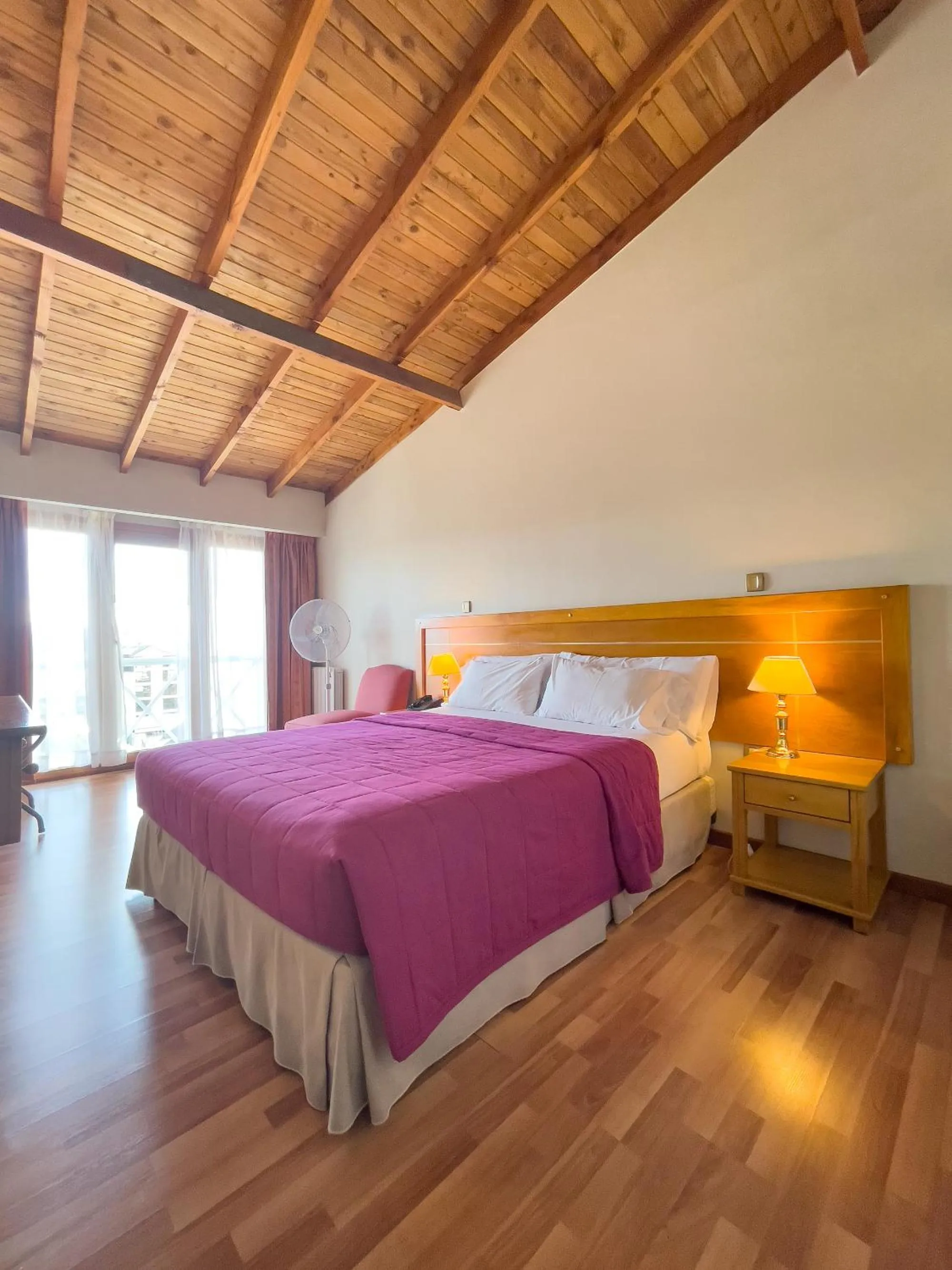 Double Room in Hotel Nahuel Huapi