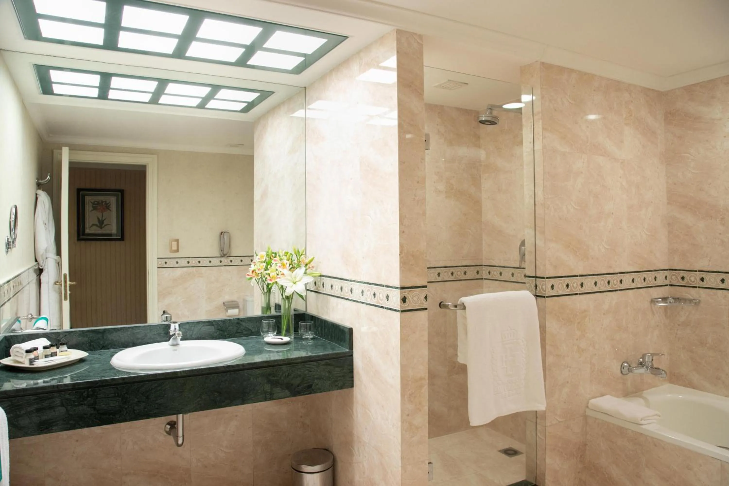 Deluxe Executive King - single occupancy in Emperador Hotel Buenos Aires