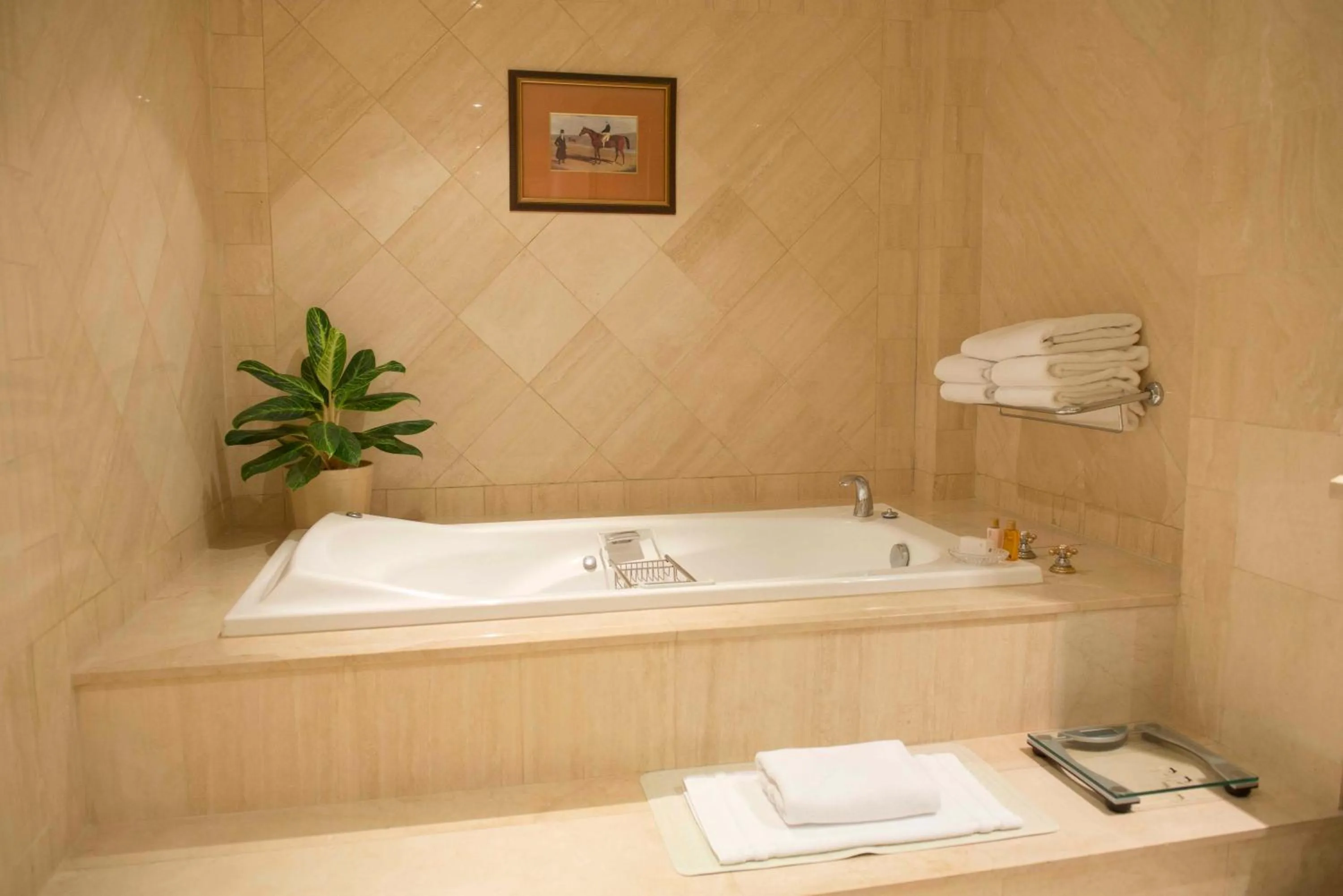 Presidential King Suite in InterContinental Buenos Aires by IHG