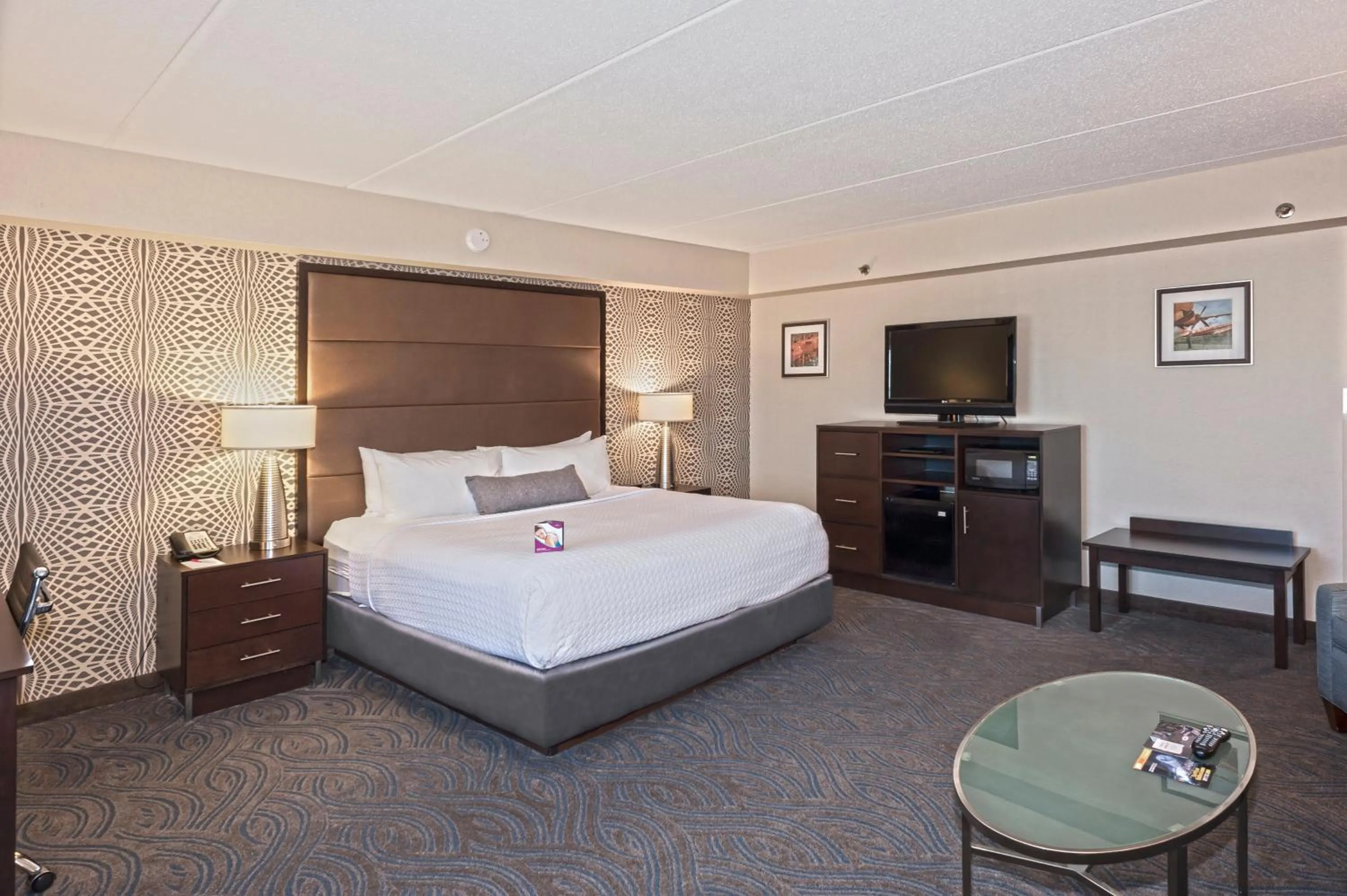 Premium King Room with Sofa Bed in Crowne Plaza Suites MSP Airport - Mall of America by IHG