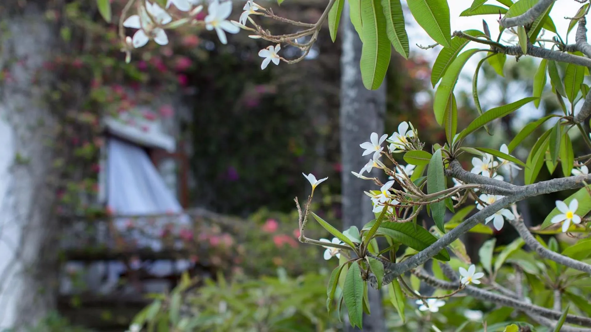 Luxury Room in My Blue Hotel