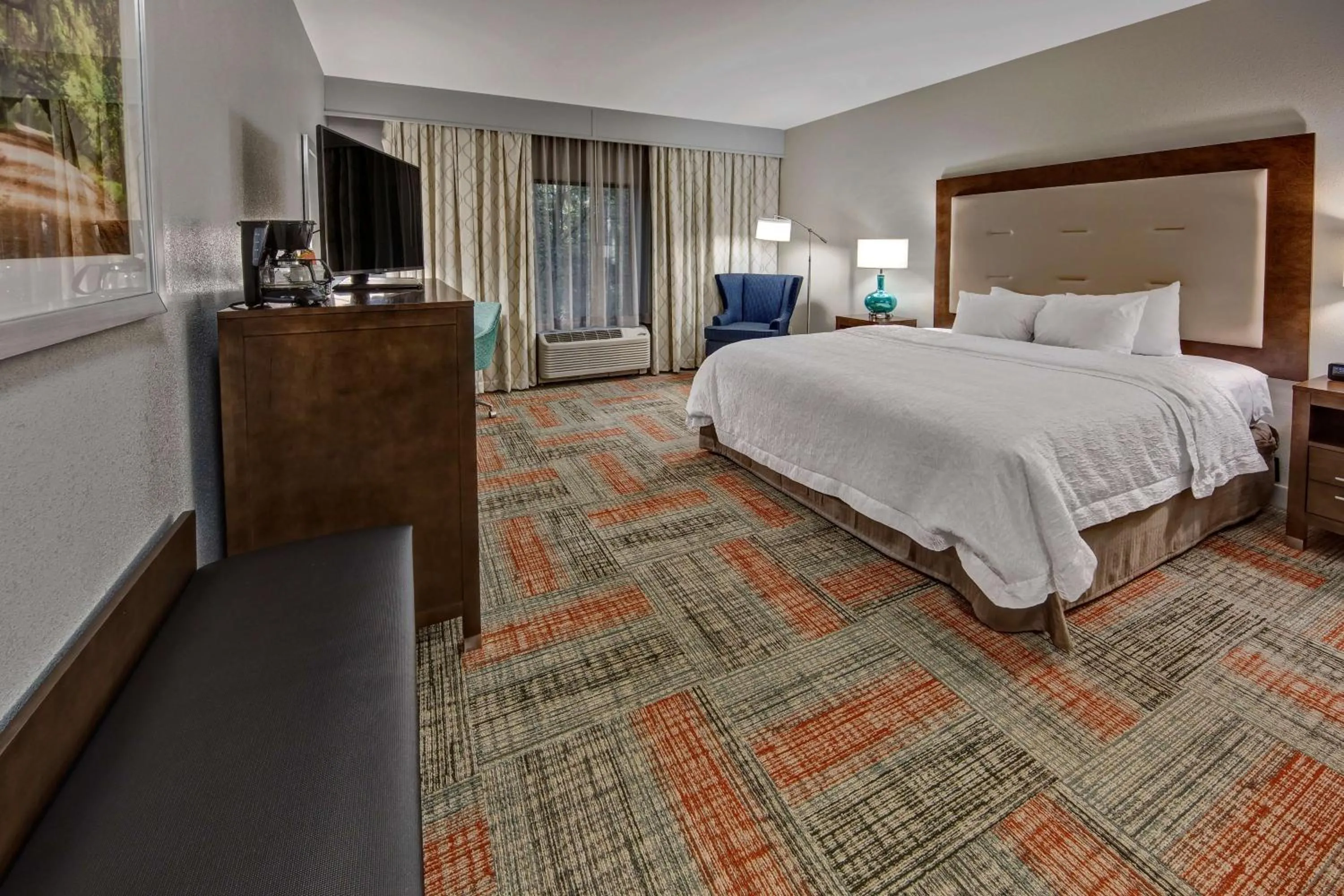 King Room Mobility and Hearing Access/Non-Smoking in Hampton Inn Summerville SC