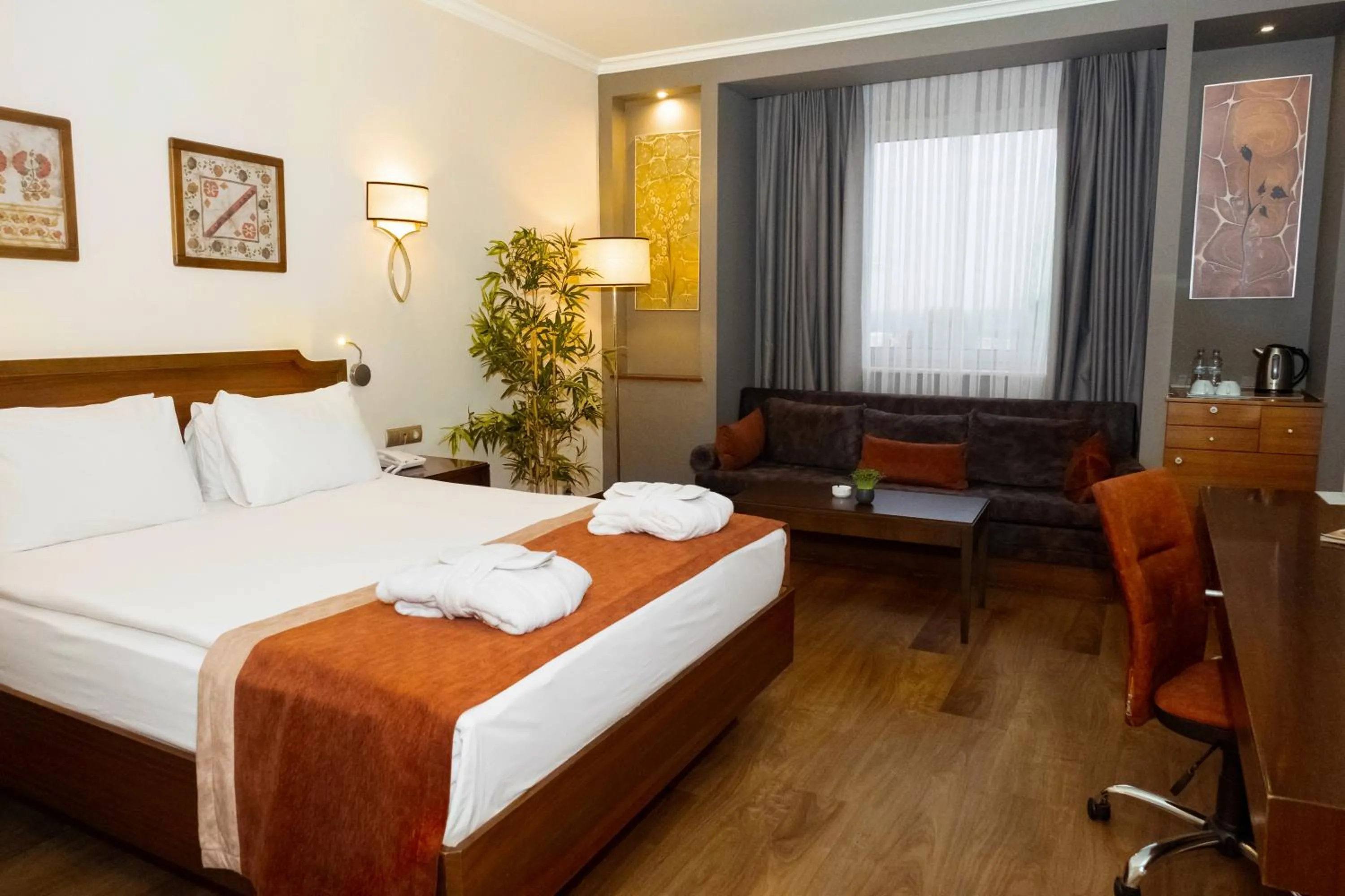 Deluxe Room in Euro Park Hotel Bursa