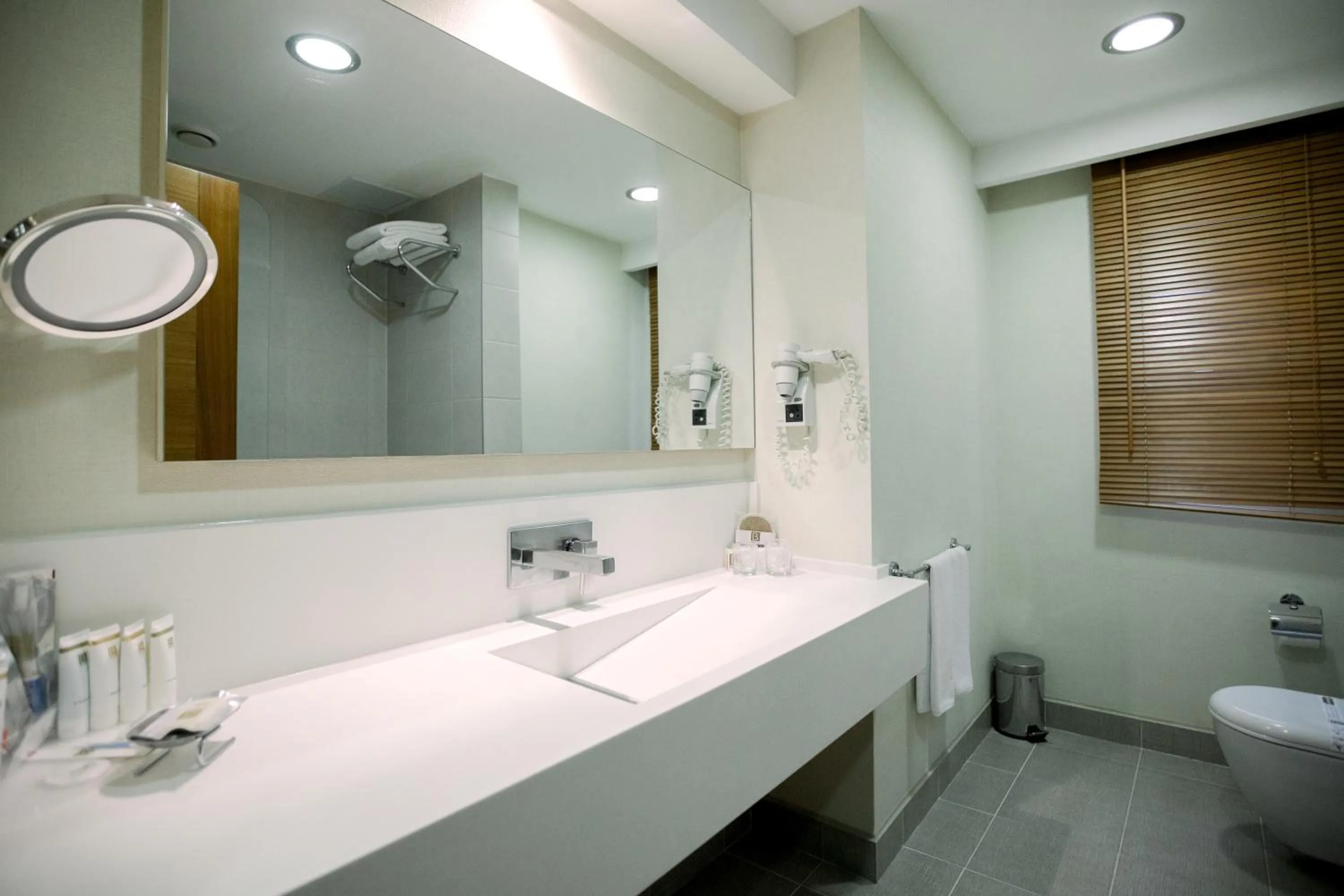 Executive Double Room - single occupancy in Baia Bursa Hotel