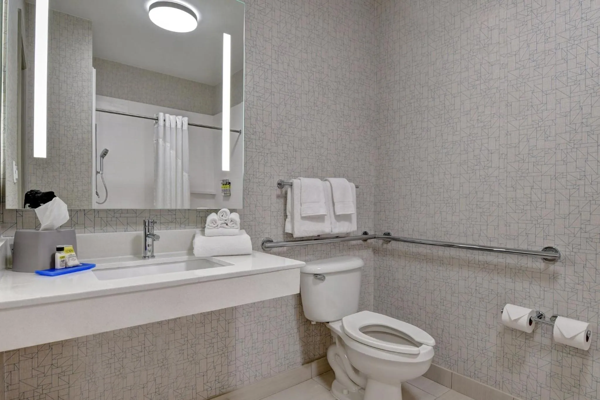 Standard King Room with Mobility Accessible Roll-In Shower in Holiday Inn Express Hotel & Suites Anderson I-85 - HWY 76, Exit 19B by IHG