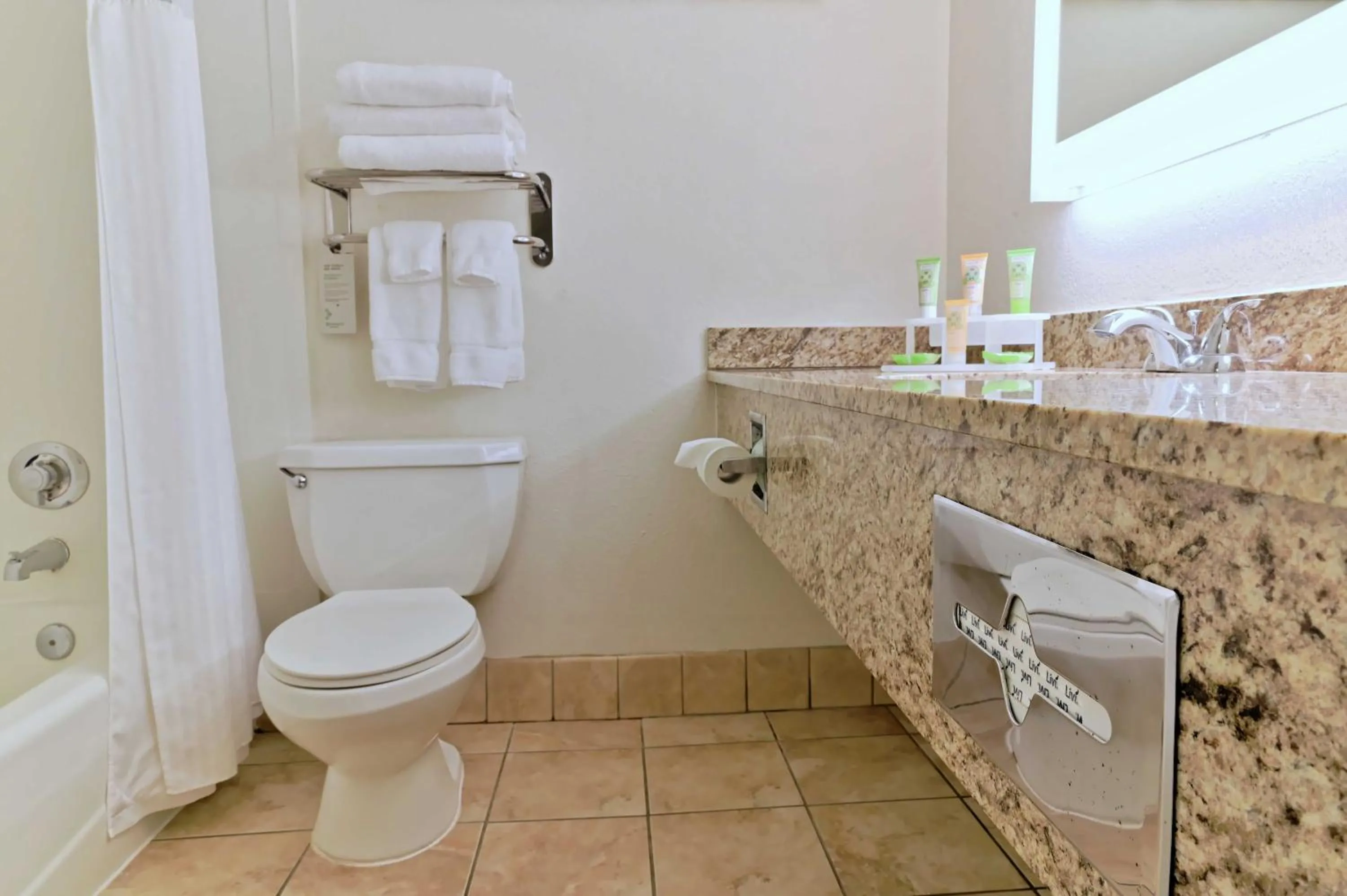 King bed Non-Smoking in Wyndham Garden Summerville