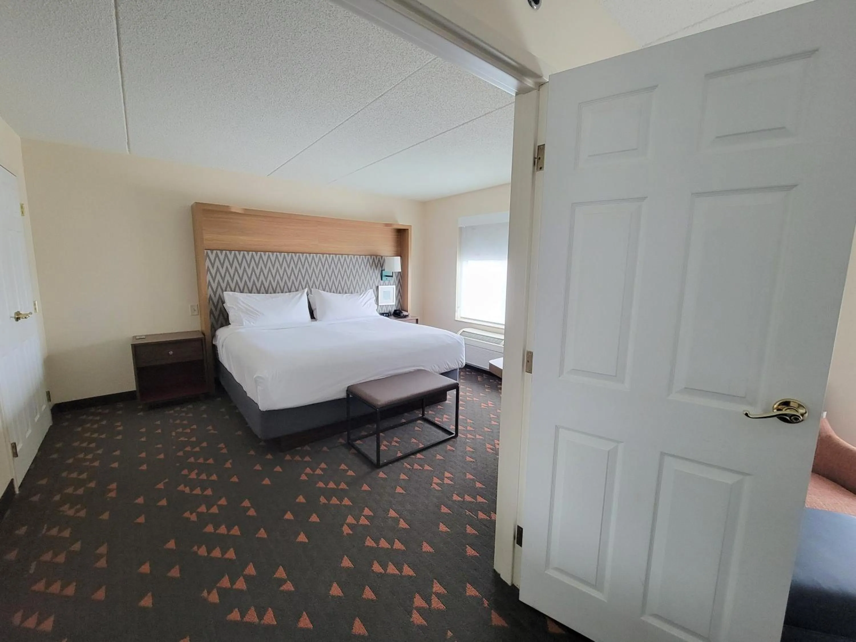 One-Bedroom King Suite with Spa Bath in Holiday Inn Hotel & Suites Ann Arbor University of Michigan Area by IHG